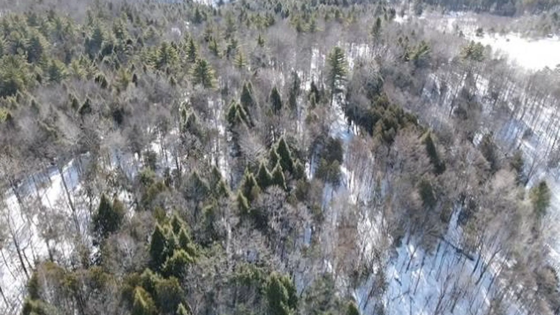 Property at SH 3 State Highway 3, Pitcairn, NY 13642 8
