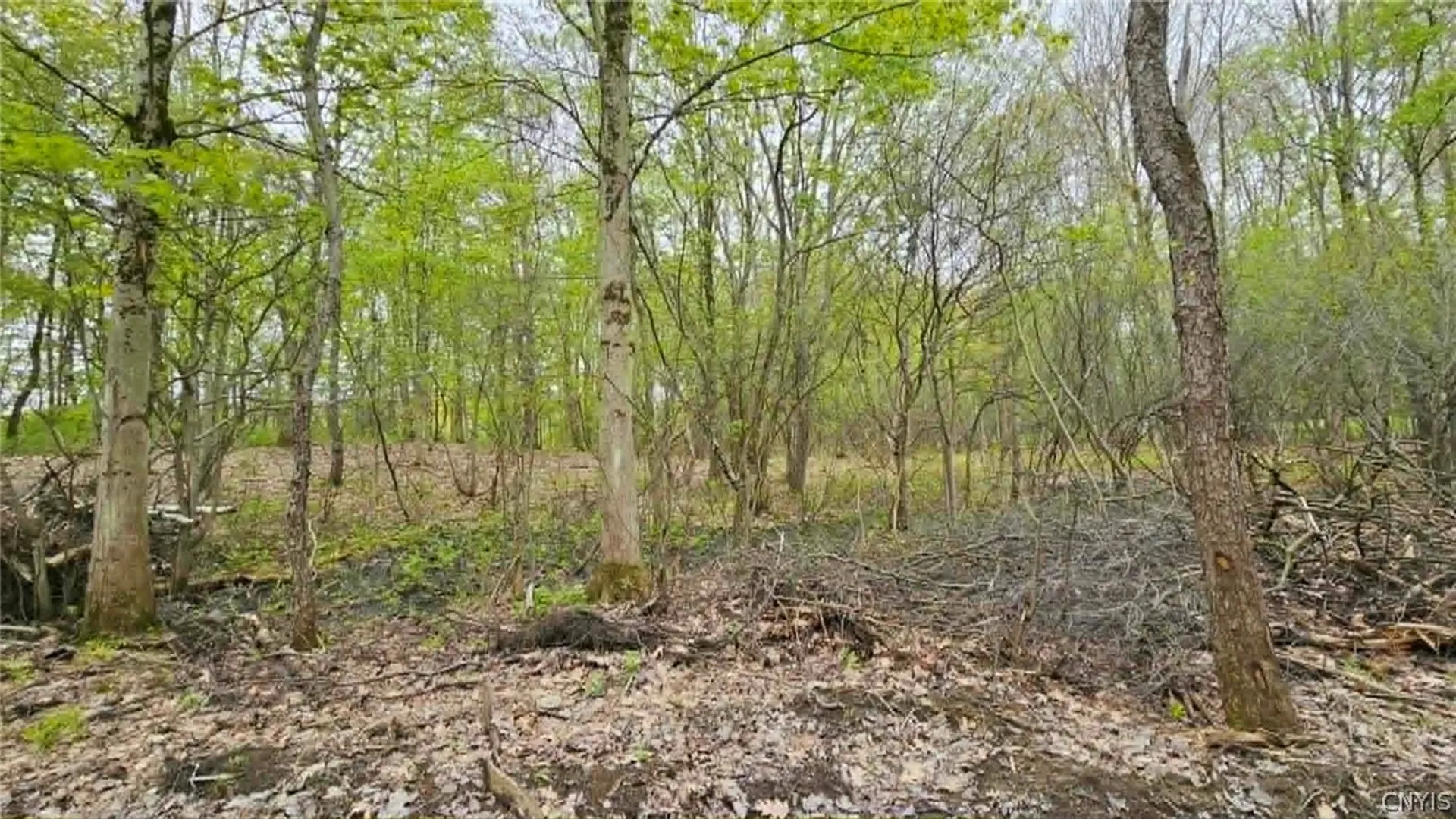 Property at Co Rt 2, Richland, NY 13142 2