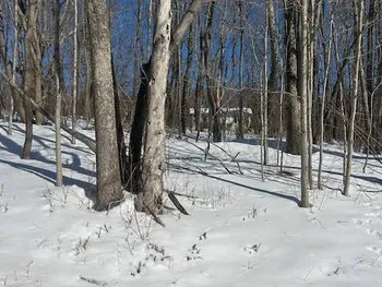 Property at 131 Huntersfield Rd., Prattsville, NY 12468