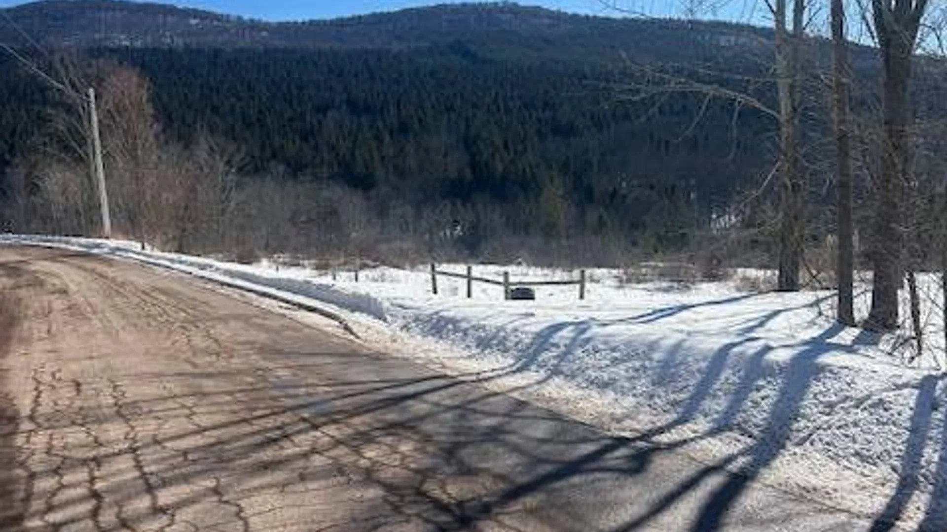 Property at 131 Huntersfield Rd., Prattsville, NY 12468 2