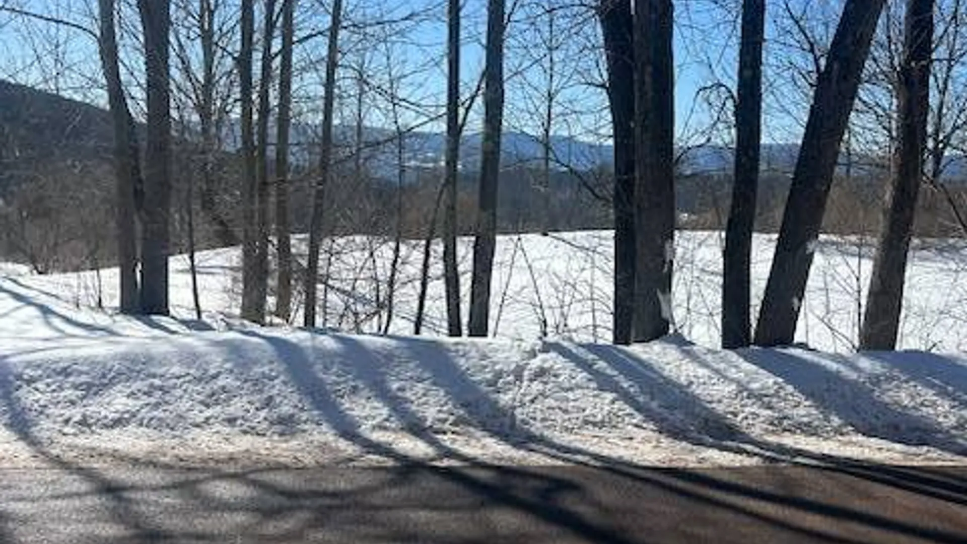 Property at 131 Huntersfield Rd., Prattsville, NY 12468 3