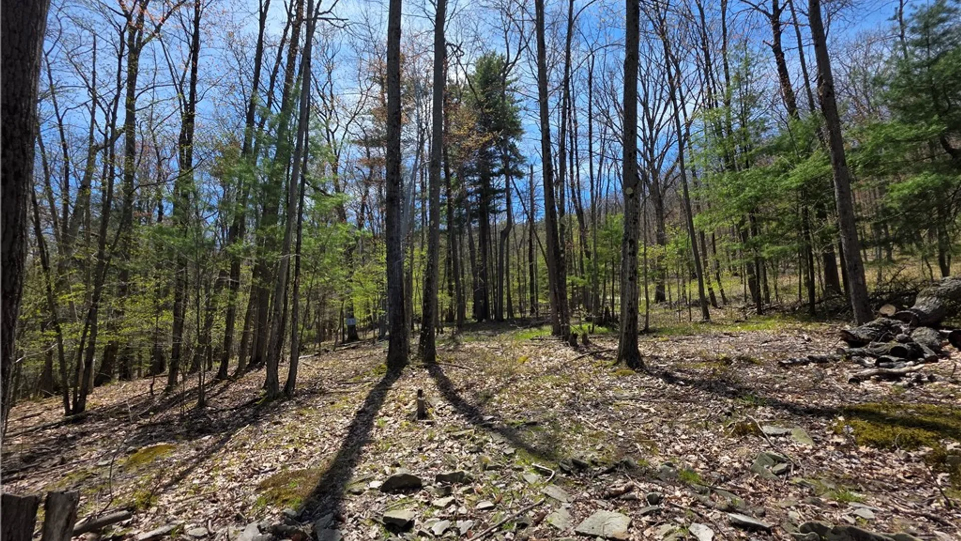 Property at 4408 Bush Hill Road, Canisteo, NY 14823 27