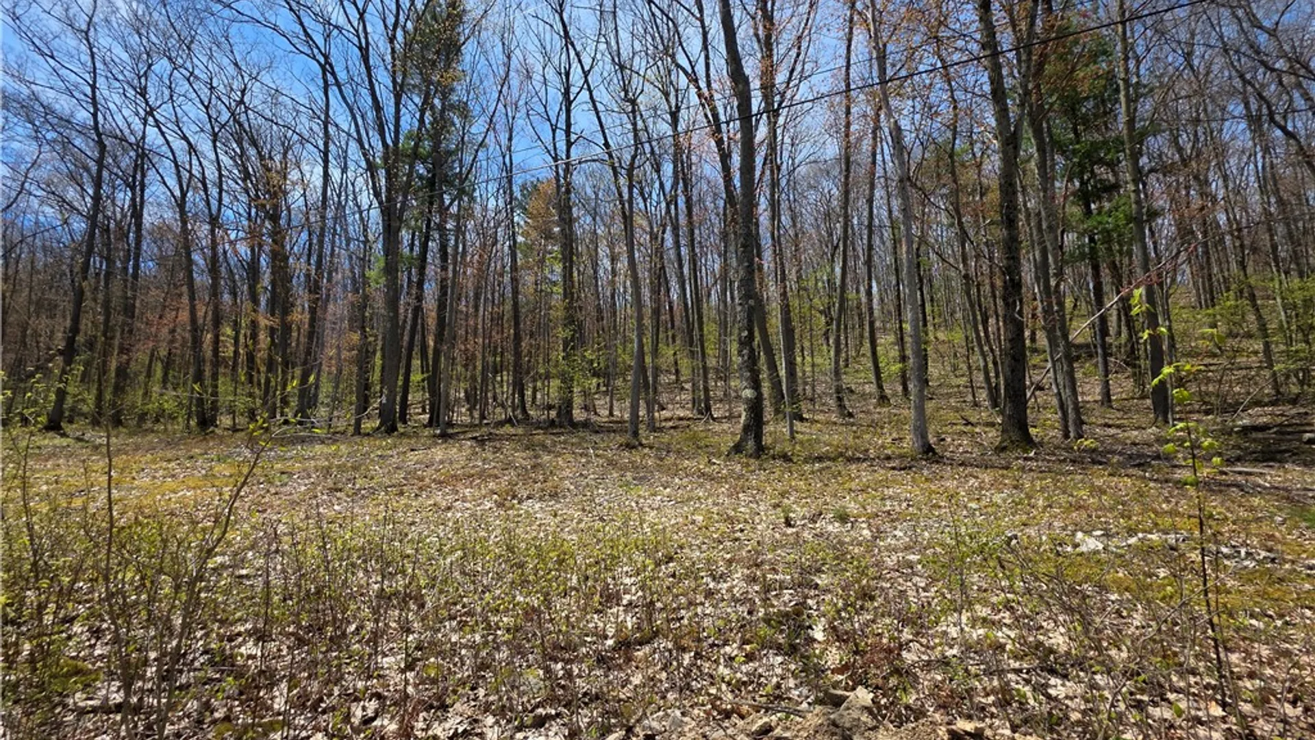 Property at 4408 Bush Hill Road, Canisteo, NY 14823 30