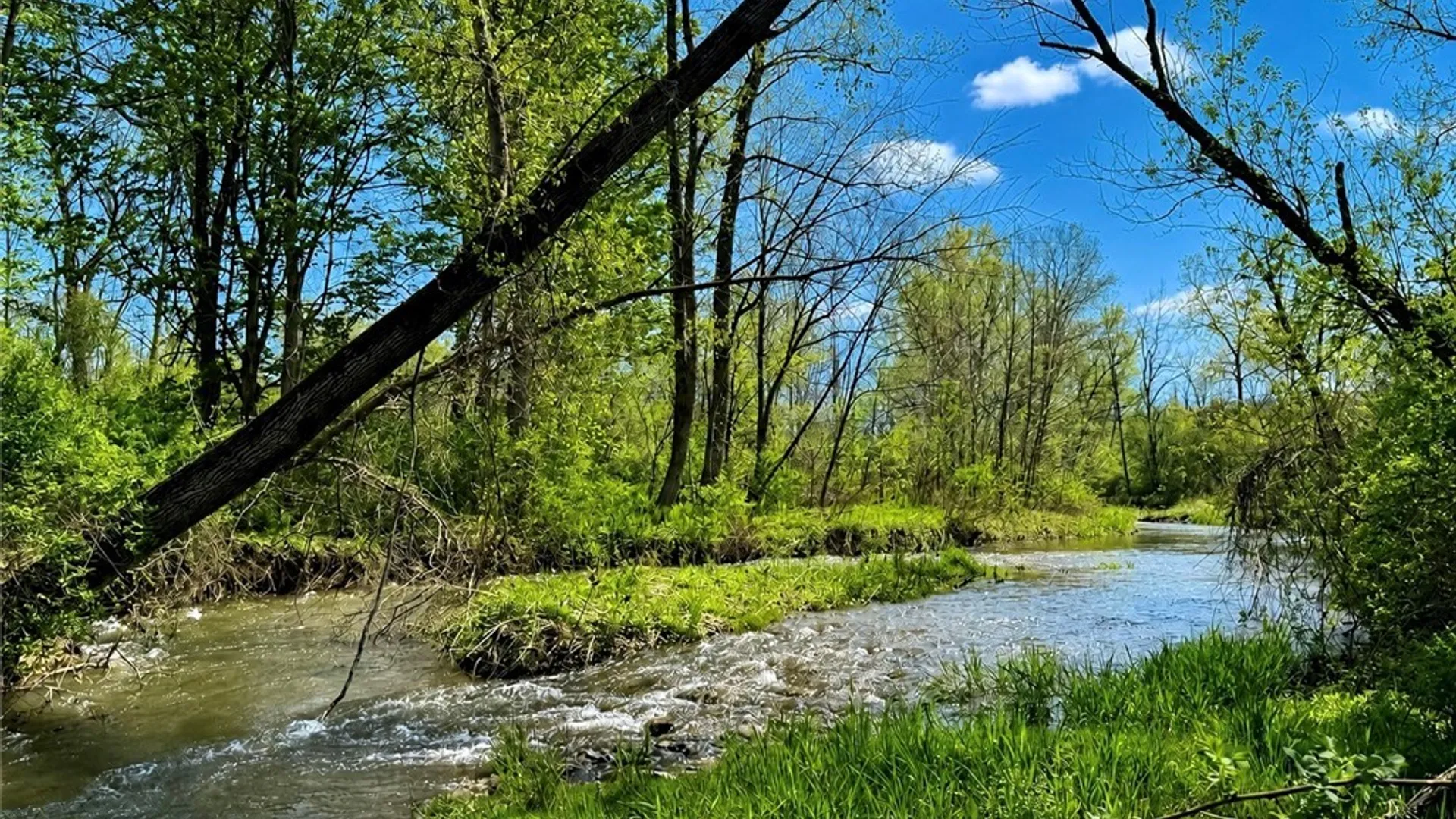 Property at 2658 Oran Delphi Road, Pompey, NY 13104 44