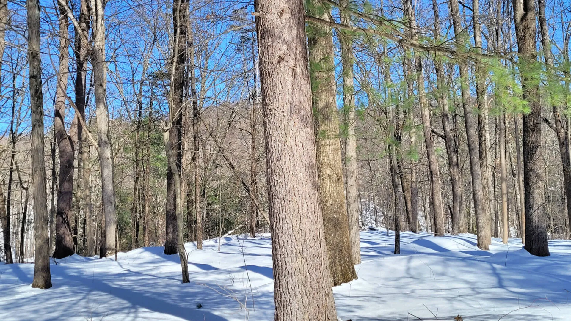 Property at 94 Hill Top Rd, Rhinebeck, NY 12572 11