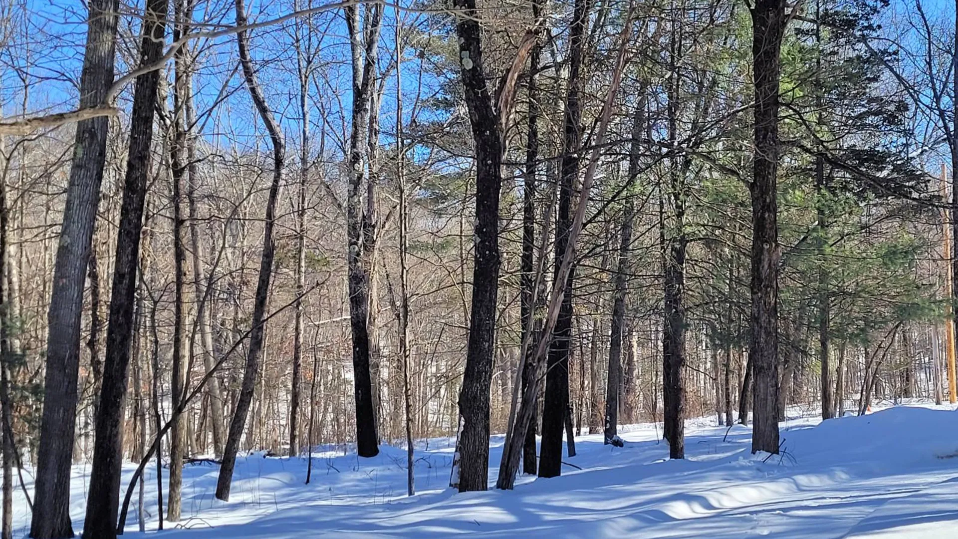 Property at 94 Hill Top Rd, Rhinebeck, NY 12572 30