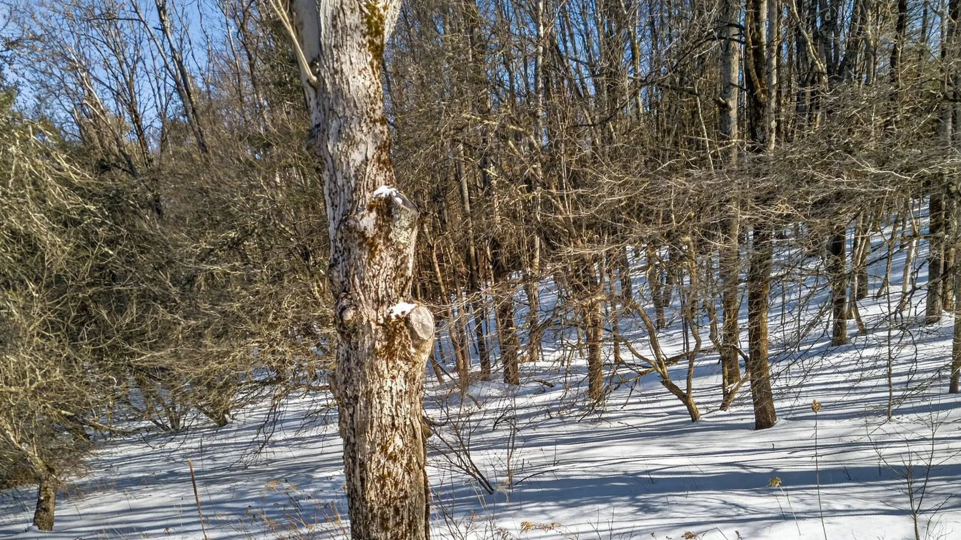 Property at L29 County Highway 45, Hartwick, NY 13807 10