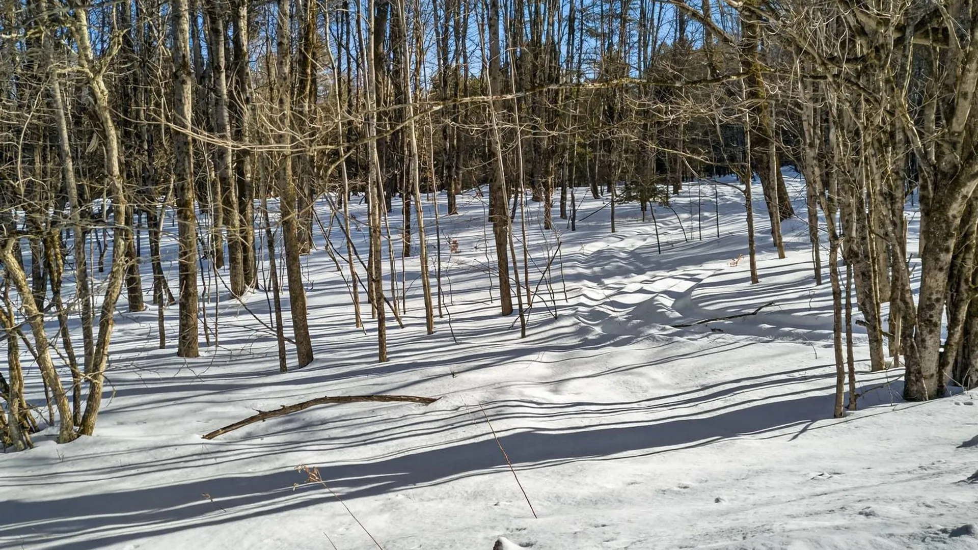 Property at L29 County Highway 45, Hartwick, NY 13807 11