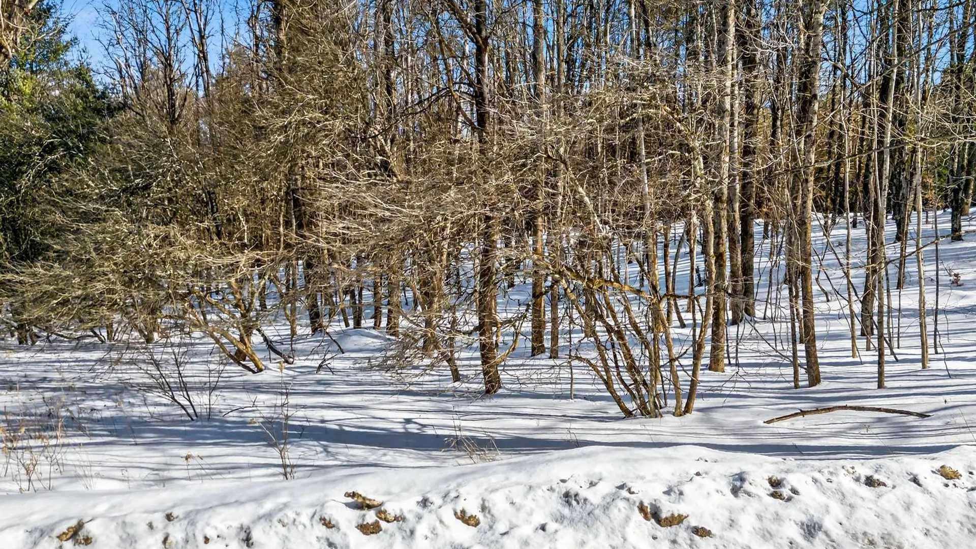 Property at L29 County Highway 45, Hartwick, NY 13807 12