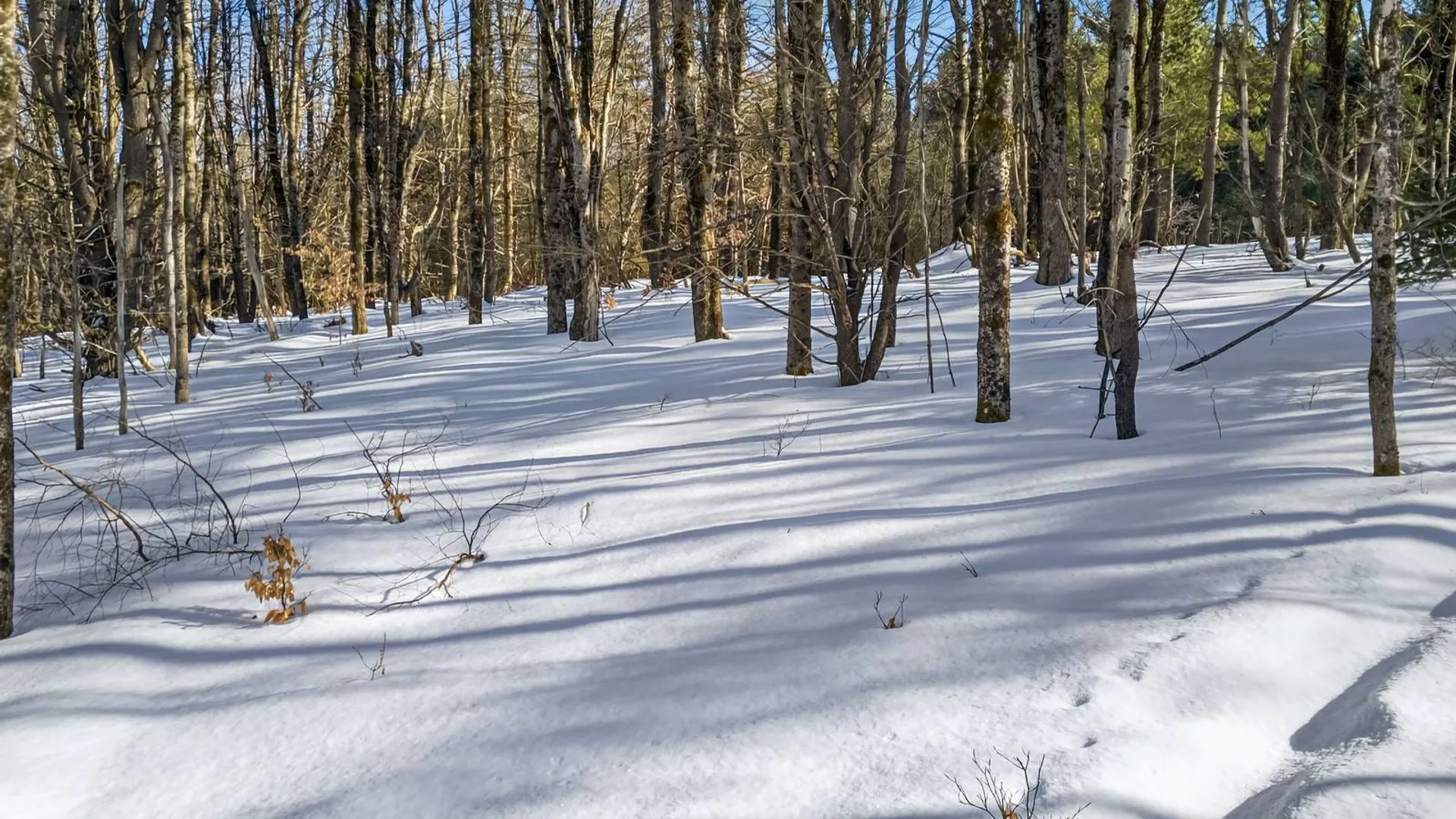 Property at L29 County Highway 45, Hartwick, NY 13807 15