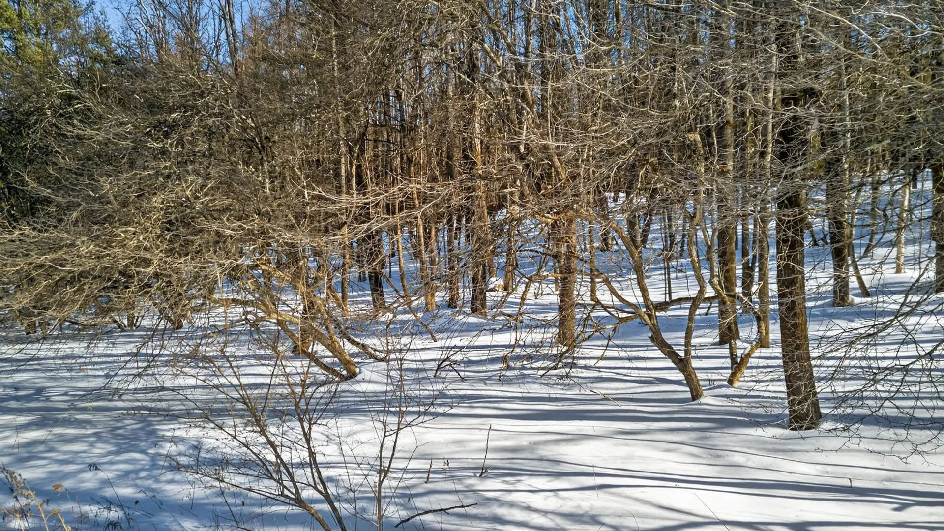 Property at L29 County Highway 45, Hartwick, NY 13807 18