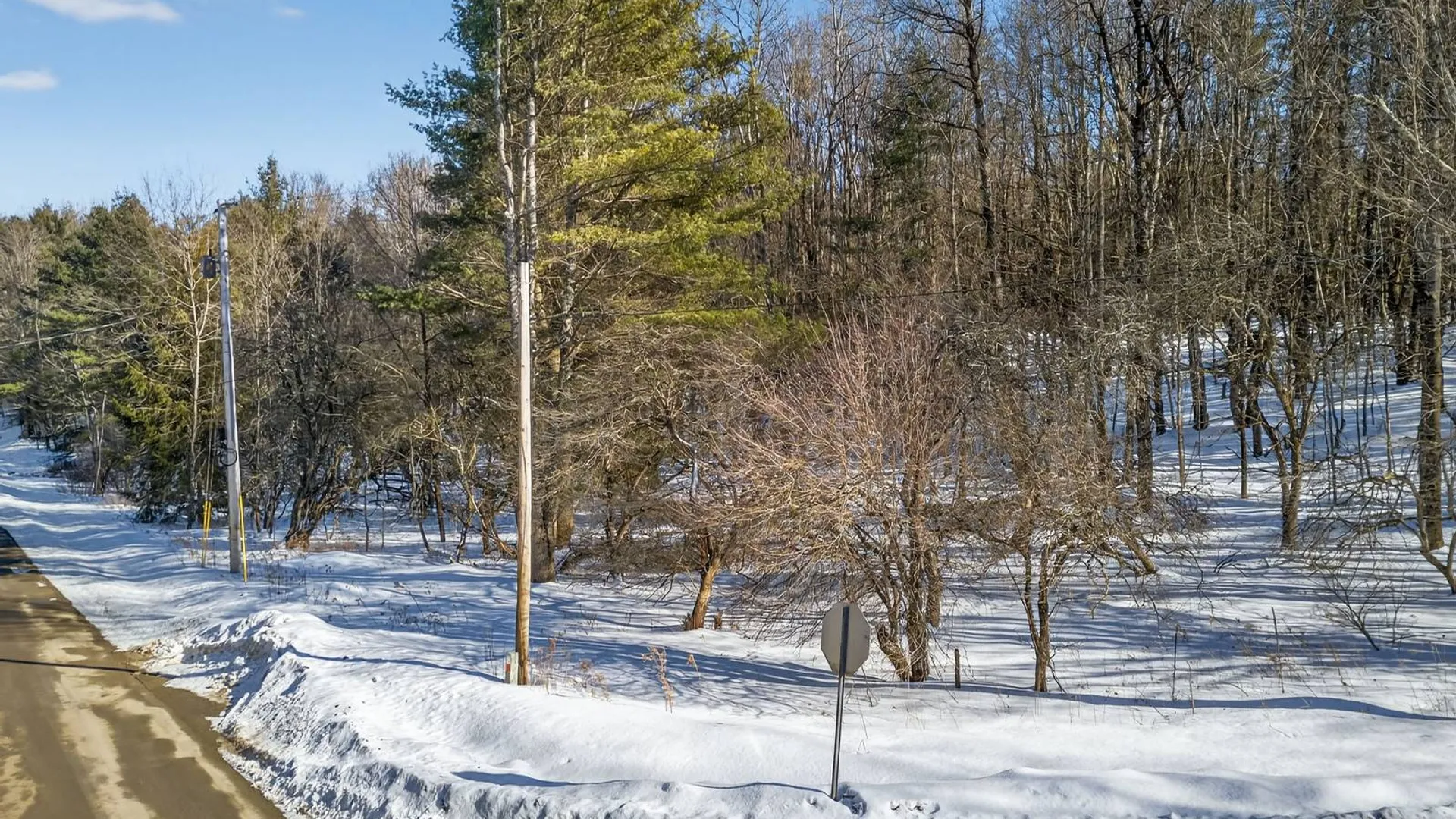 Property at L29 County Highway 45, Hartwick, NY 13807 5