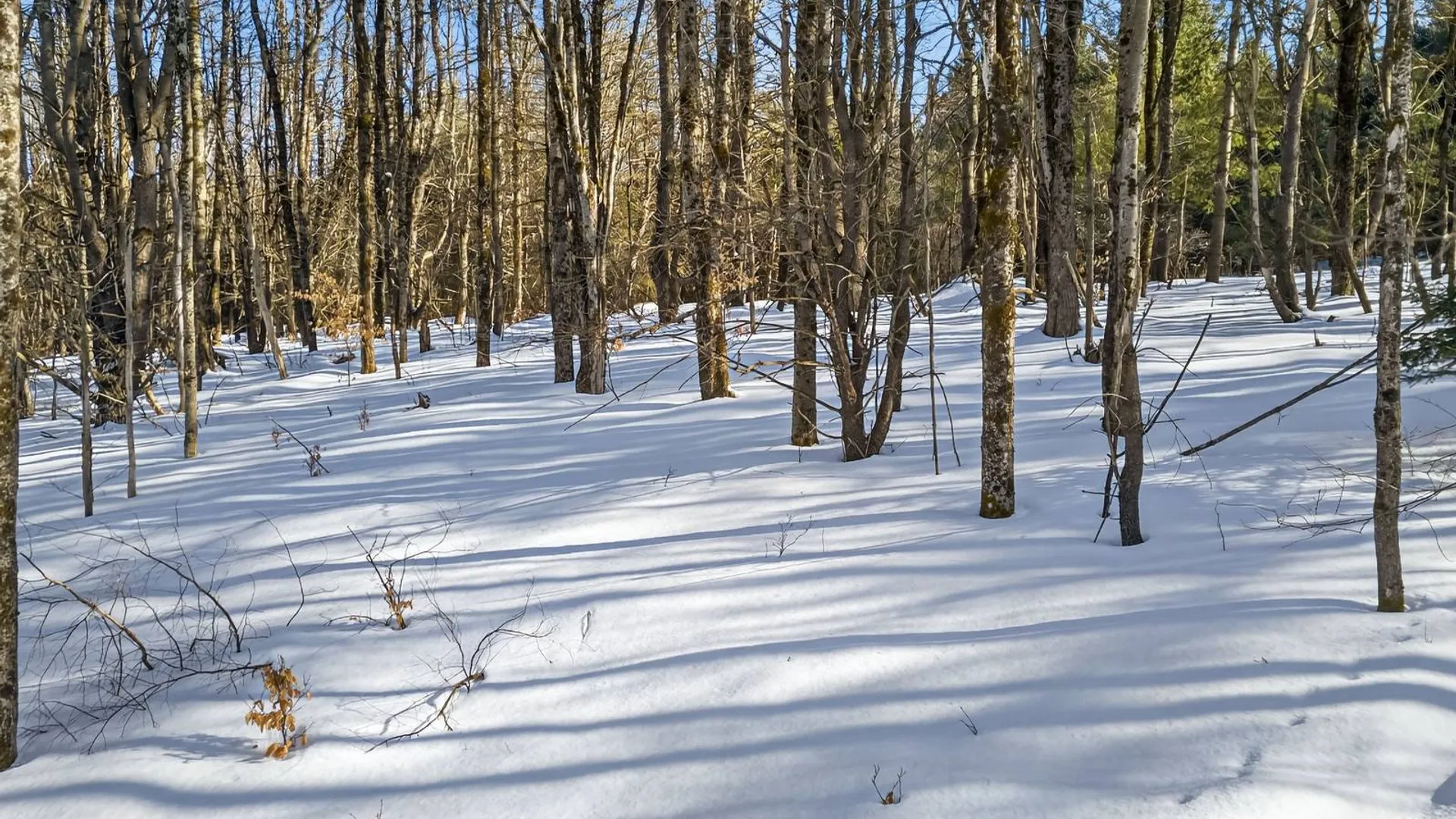 Property at L29 County Highway 45, Hartwick, NY 13807 7