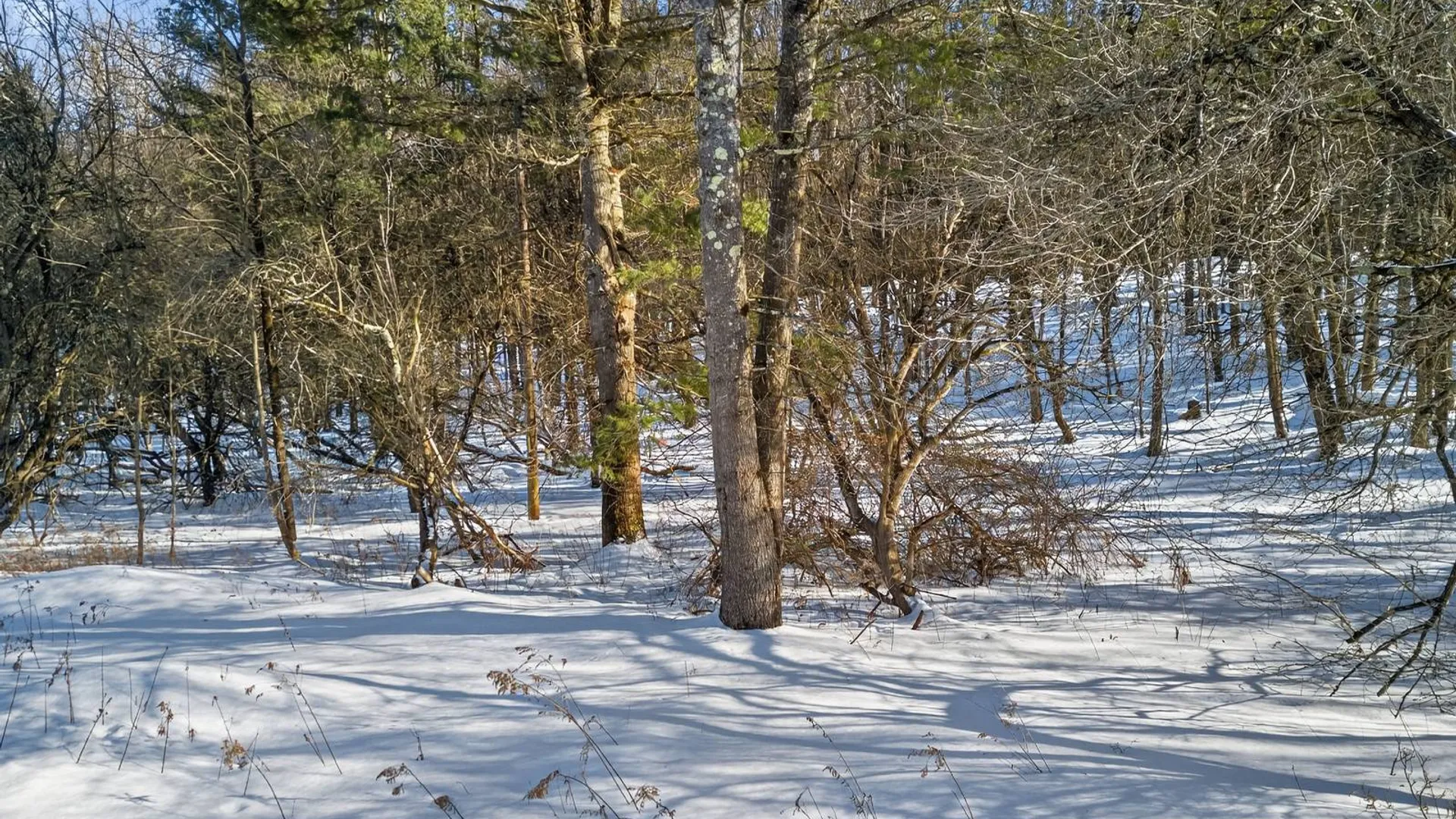 Property at L29 County Highway 45, Hartwick, NY 13807 8