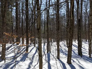 Property at 00 Florence Hill Rd, Florence, NY 13316