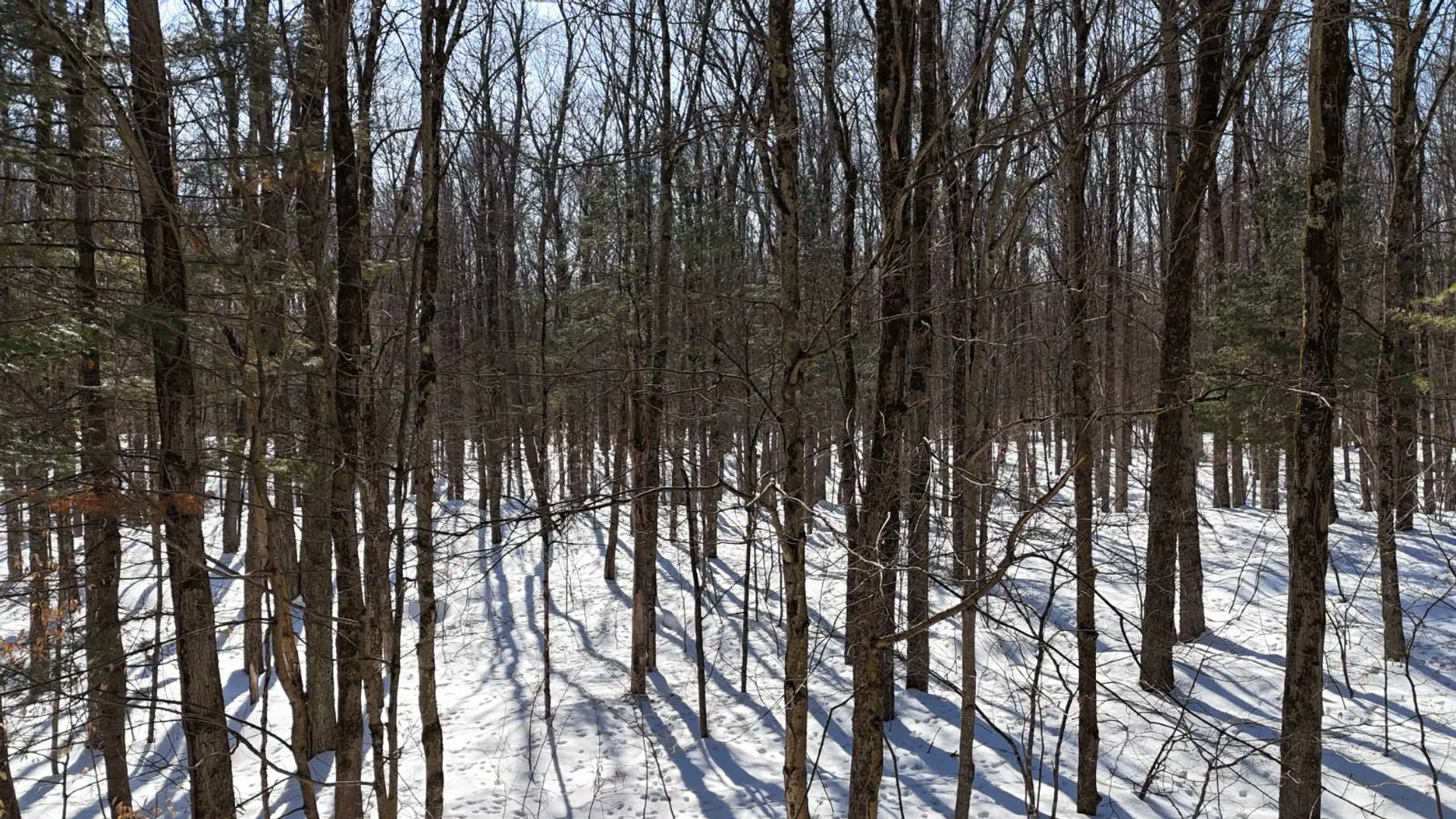 Property at 00 Florence Hill Rd, Florence, NY 13316 26