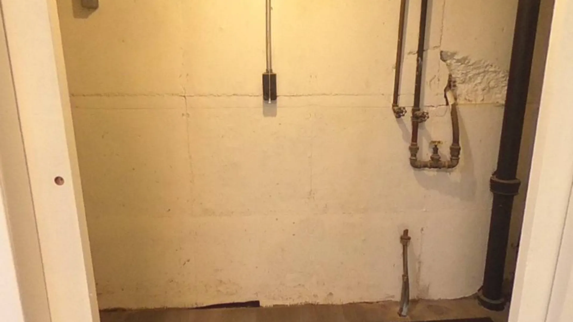 Property at 1047 Hendrix St., Brooklyn, NY 11207 29