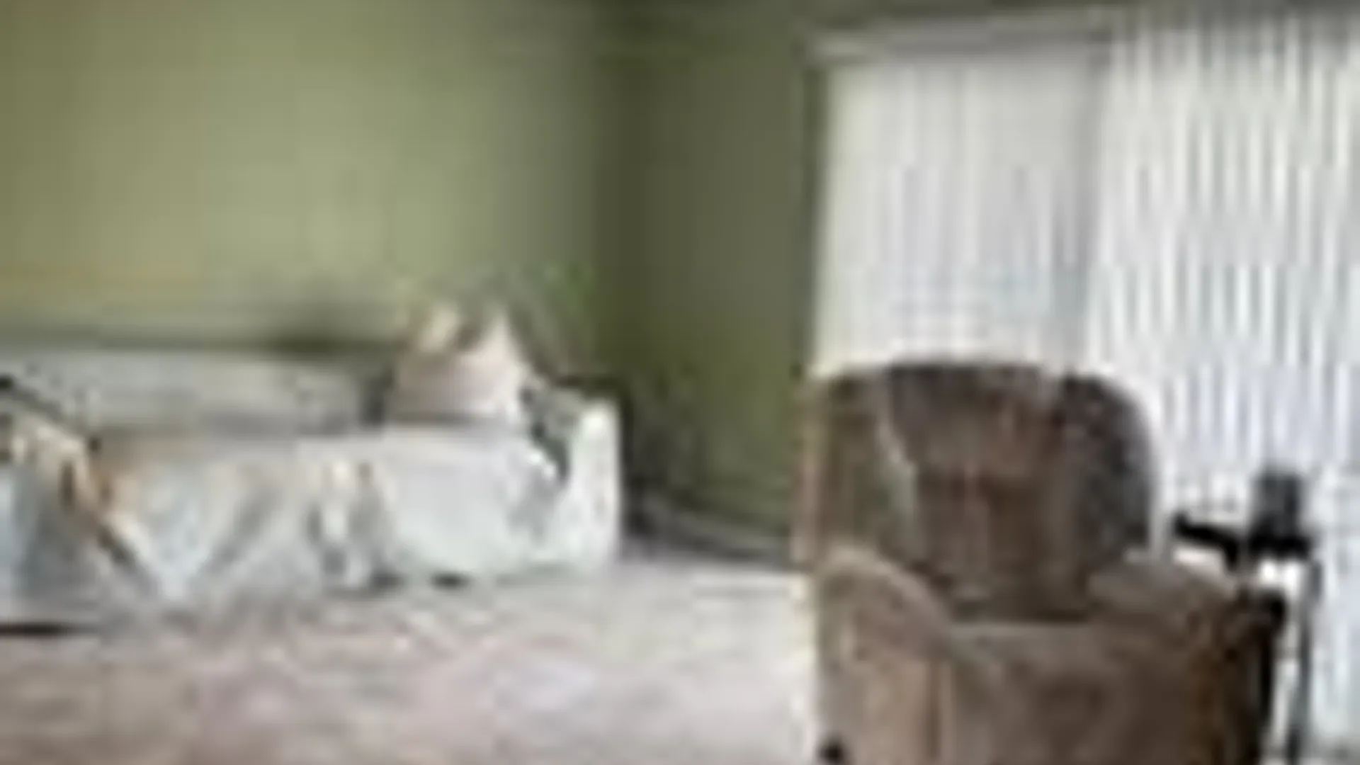 Property at 650 Newbridge, East Meadow, NY 11554 3