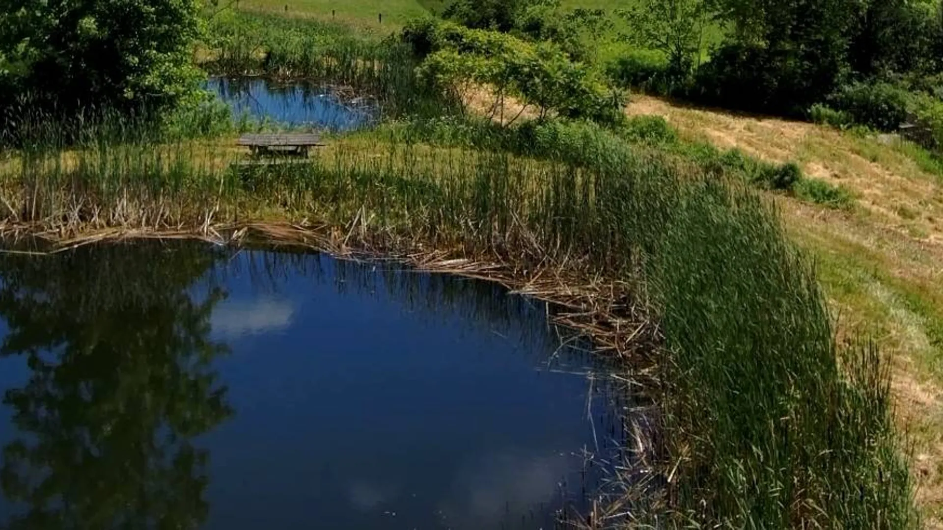 Property at 5214 State Route 145, Cobleskill, NY 12043 45