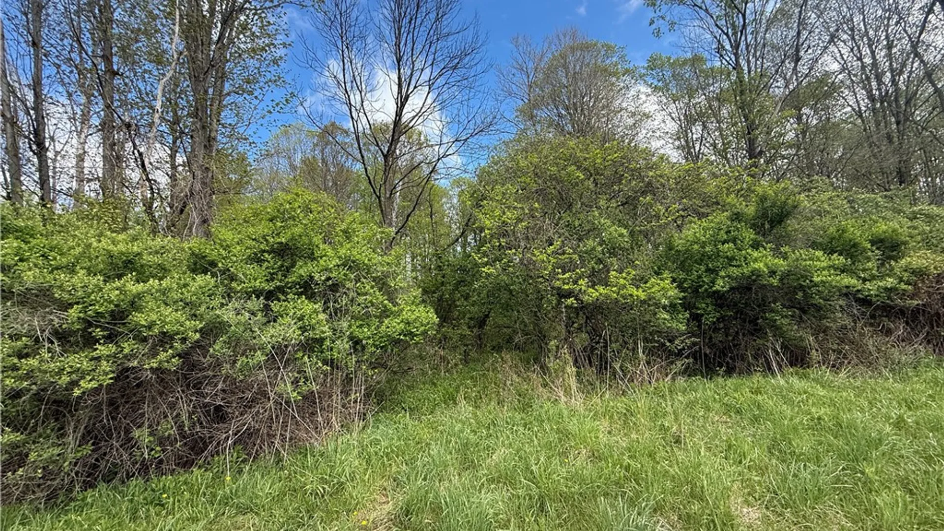 Property at Caswell Road, Dryden, NY 13068 10