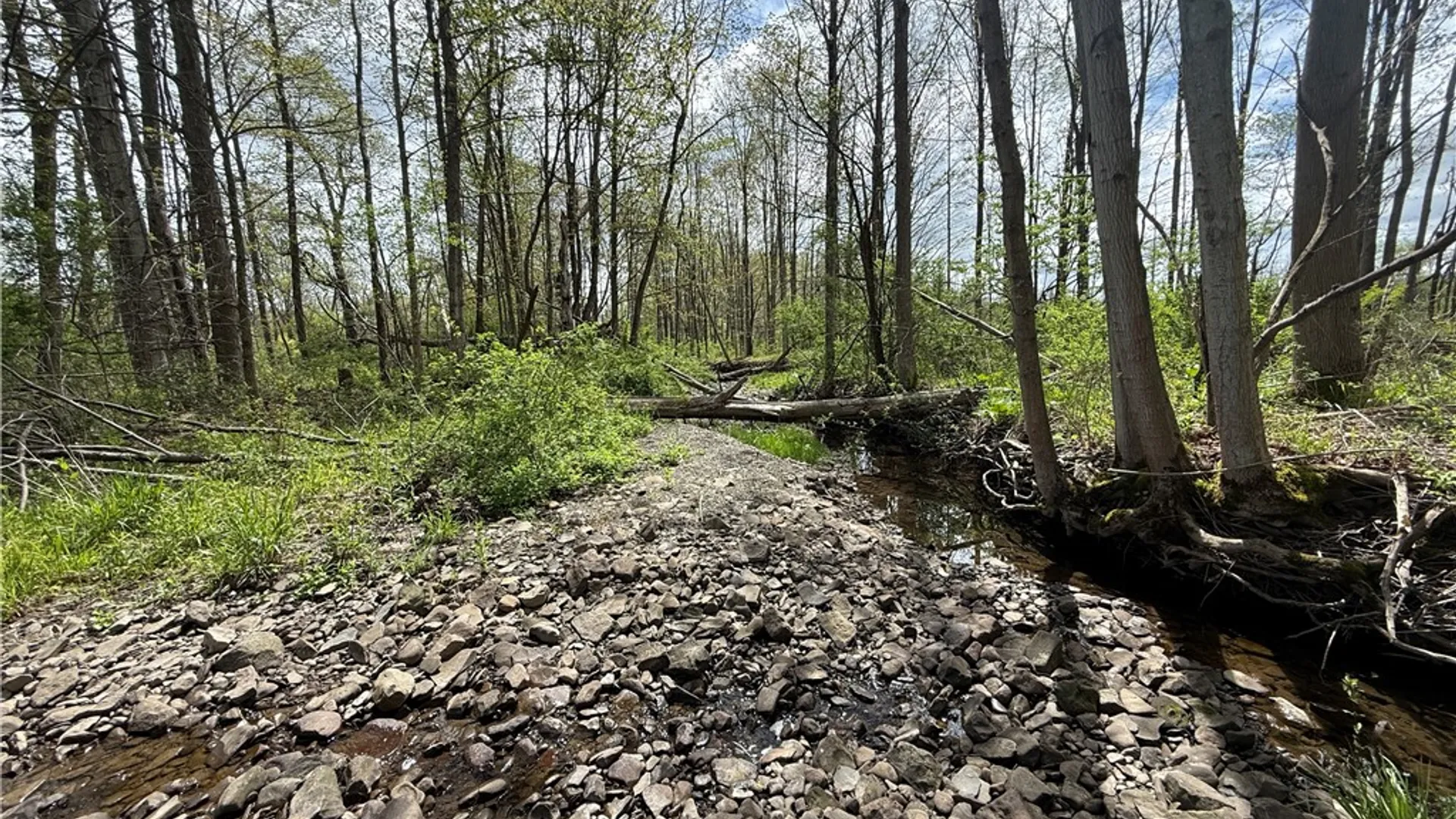 Property at Caswell Road, Dryden, NY 13068 18