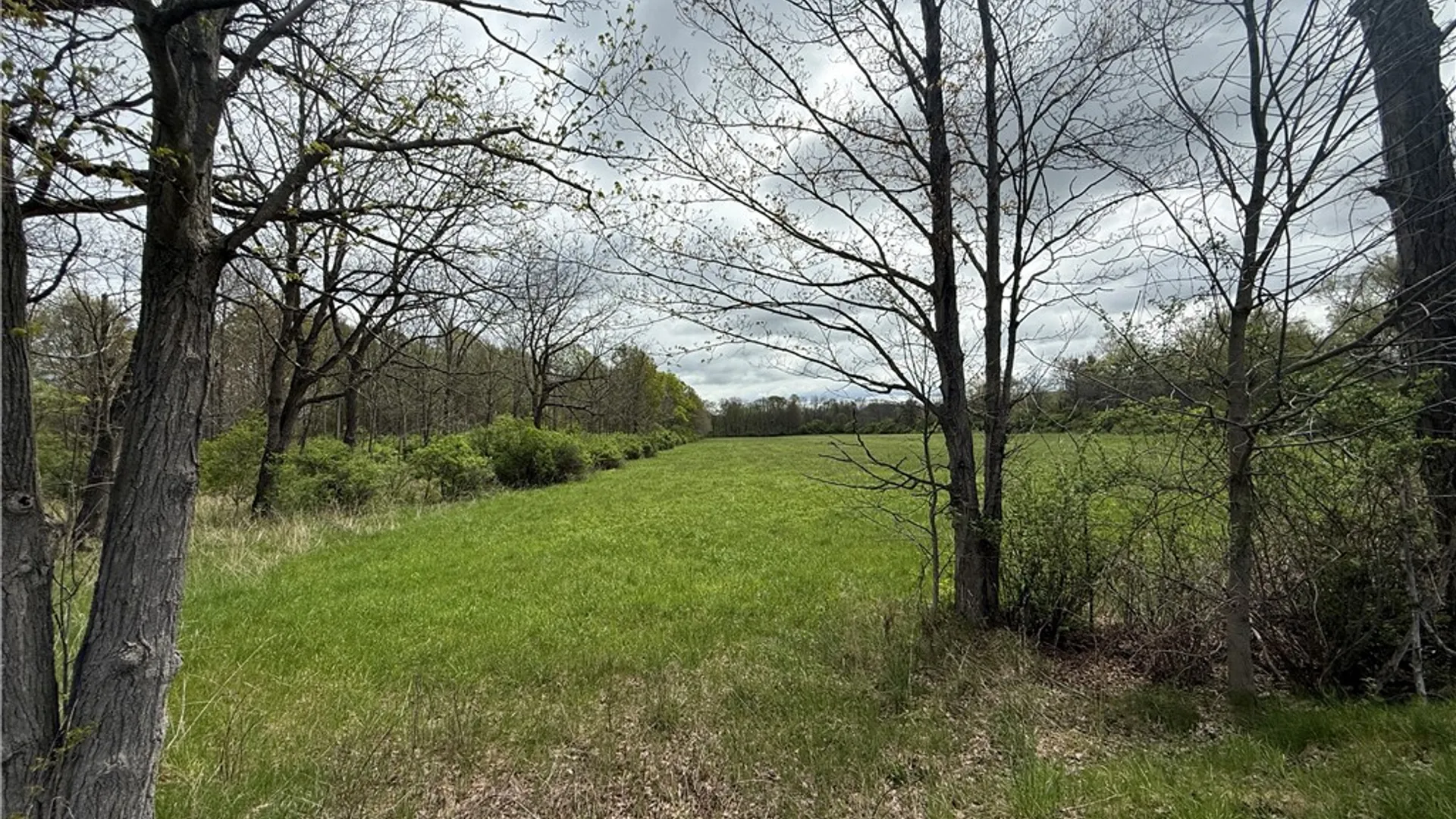 Property at Caswell Road, Dryden, NY 13068 2