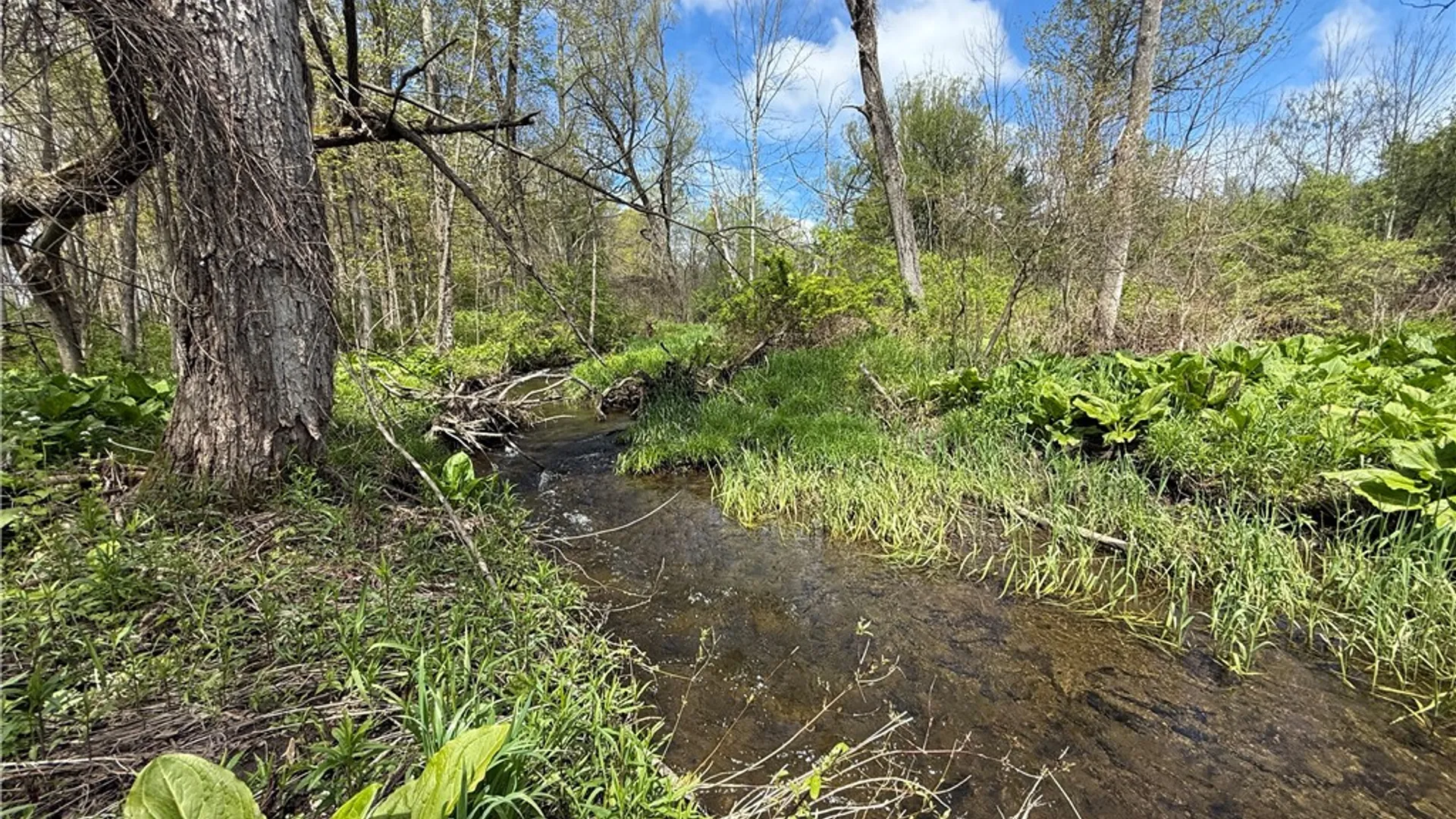 Property at Caswell Road, Dryden, NY 13068 26
