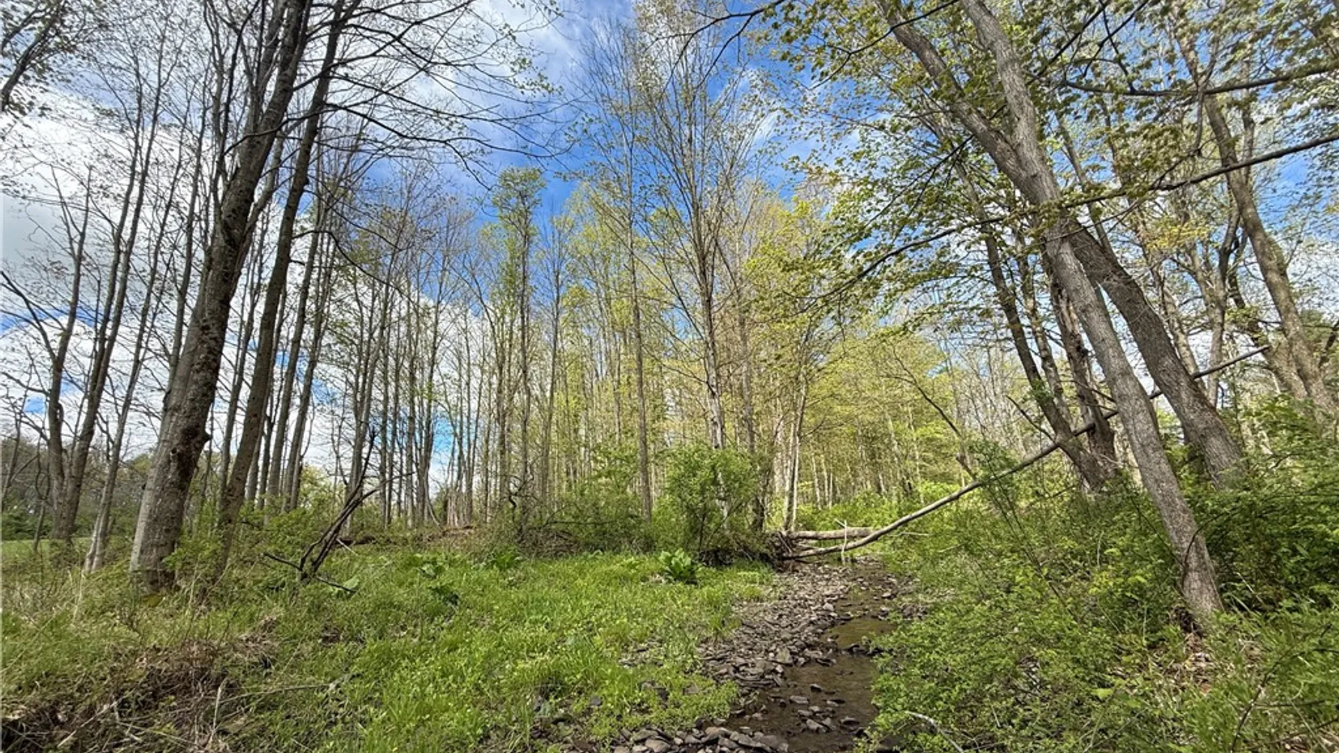 Property at Caswell Road, Dryden, NY 13068 28