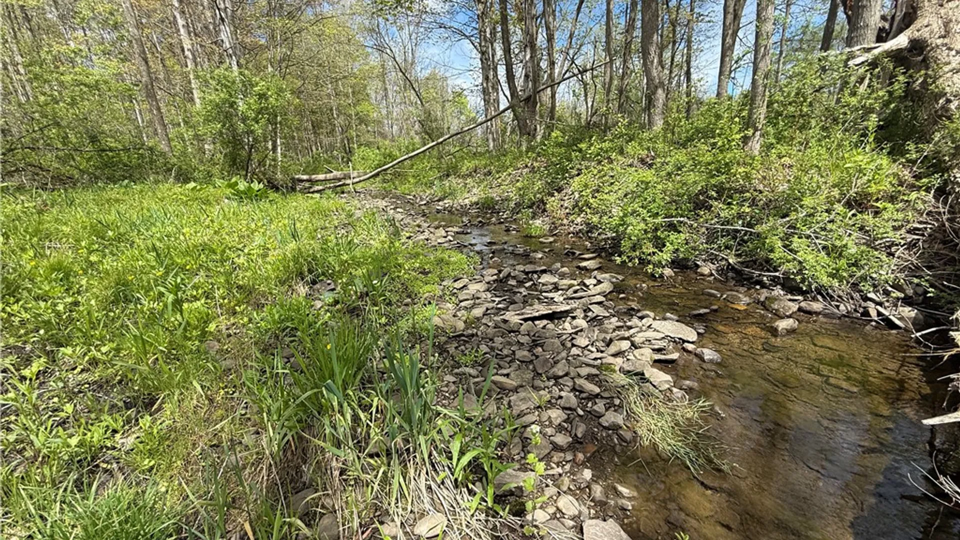 Property at Caswell Road, Dryden, NY 13068 29