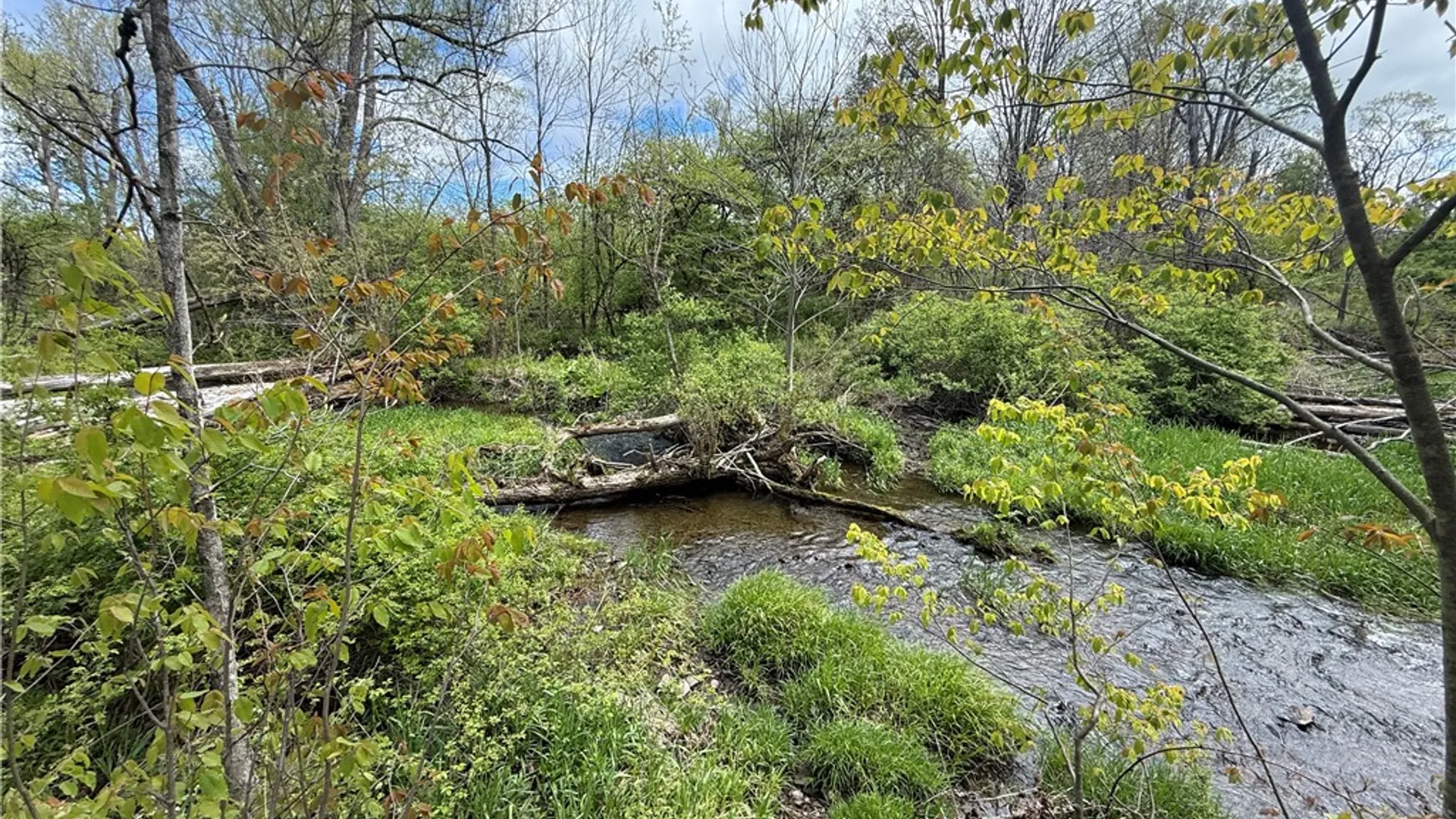 Property at Caswell Road, Dryden, NY 13068 31