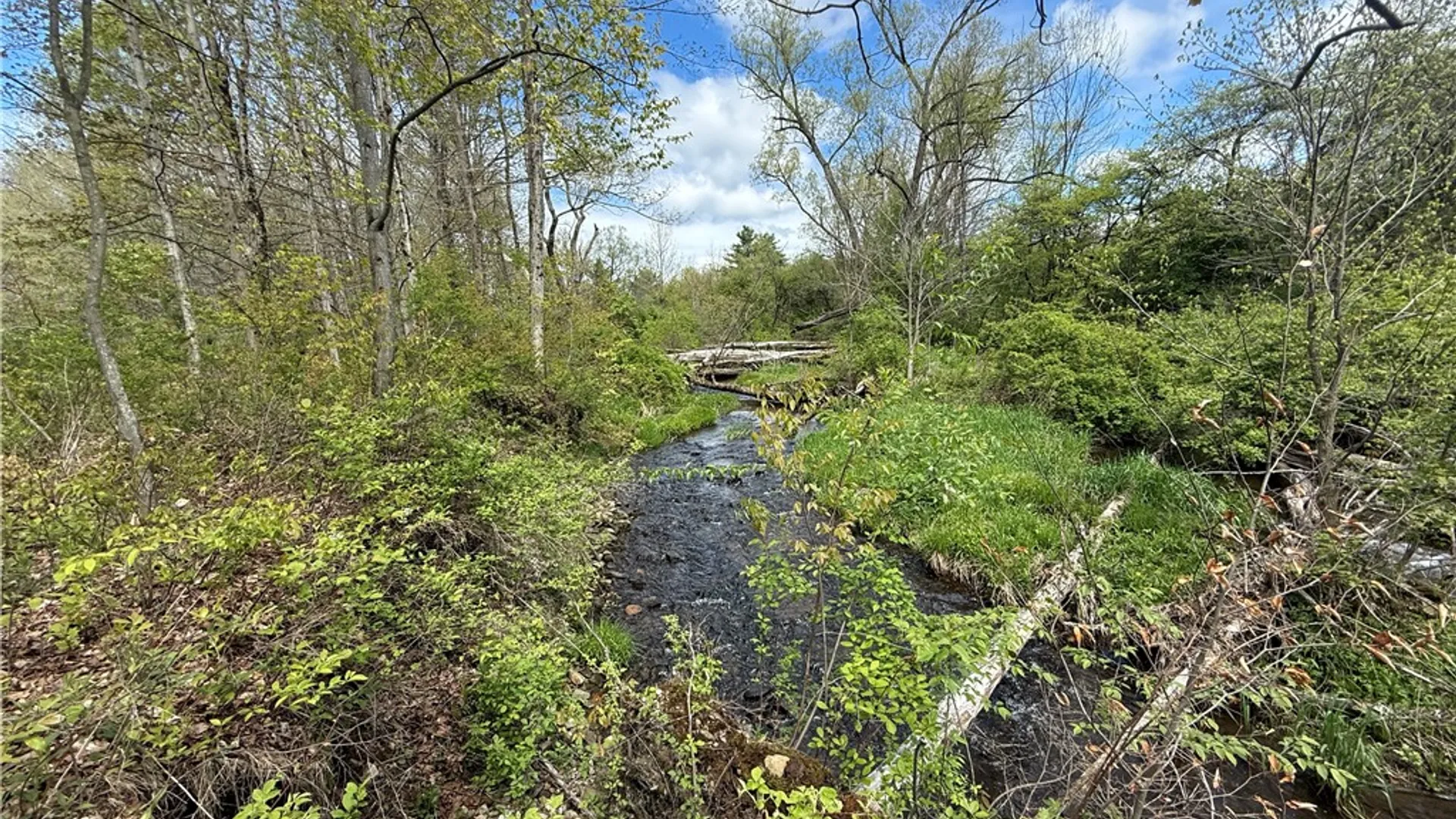 Property at Caswell Road, Dryden, NY 13068 32
