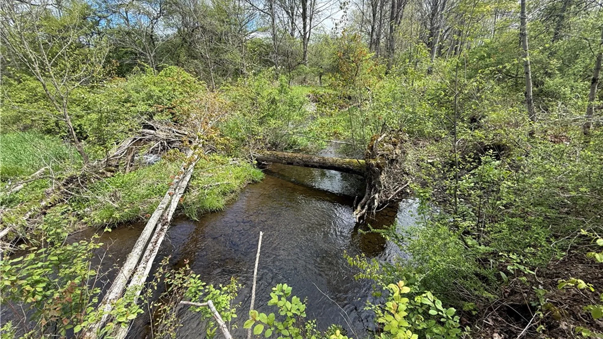 Property at Caswell Road, Dryden, NY 13068 33