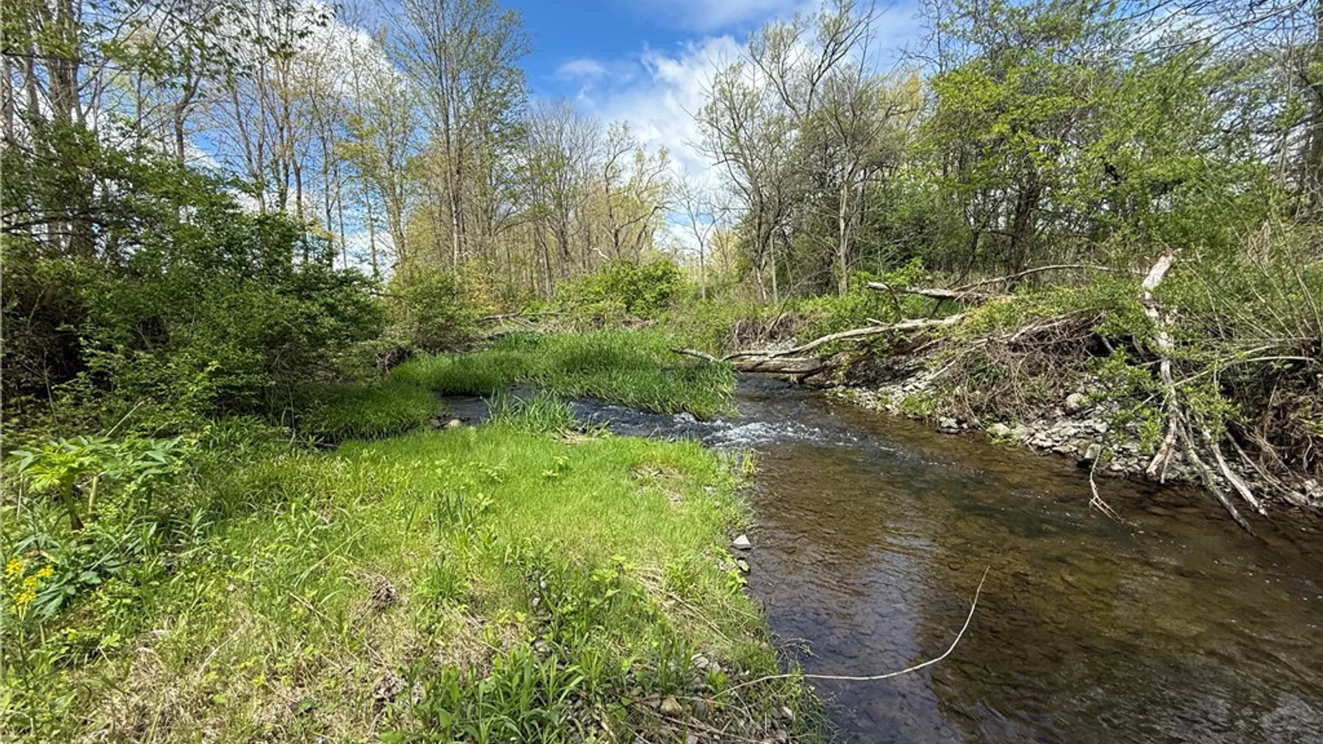 Property at Caswell Road, Dryden, NY 13068 34