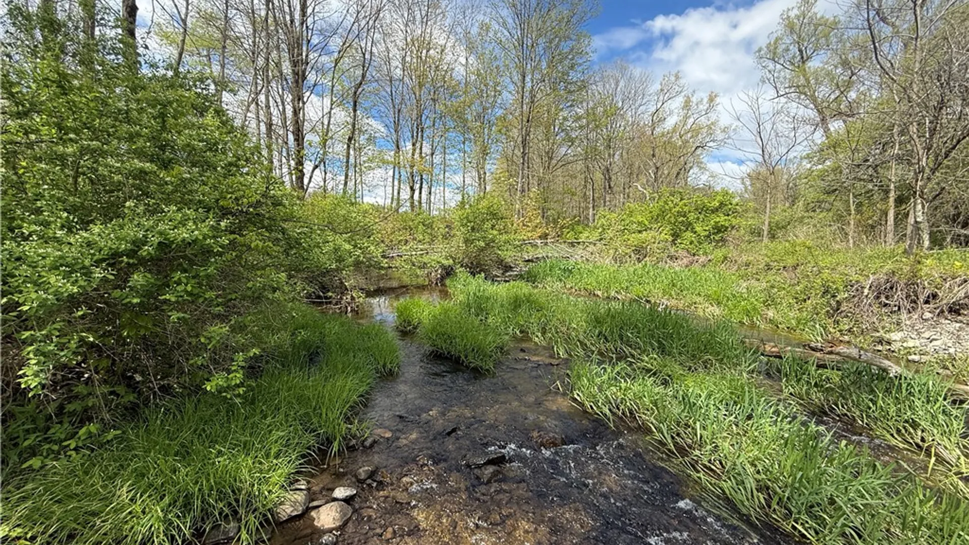Property at Caswell Road, Dryden, NY 13068 35