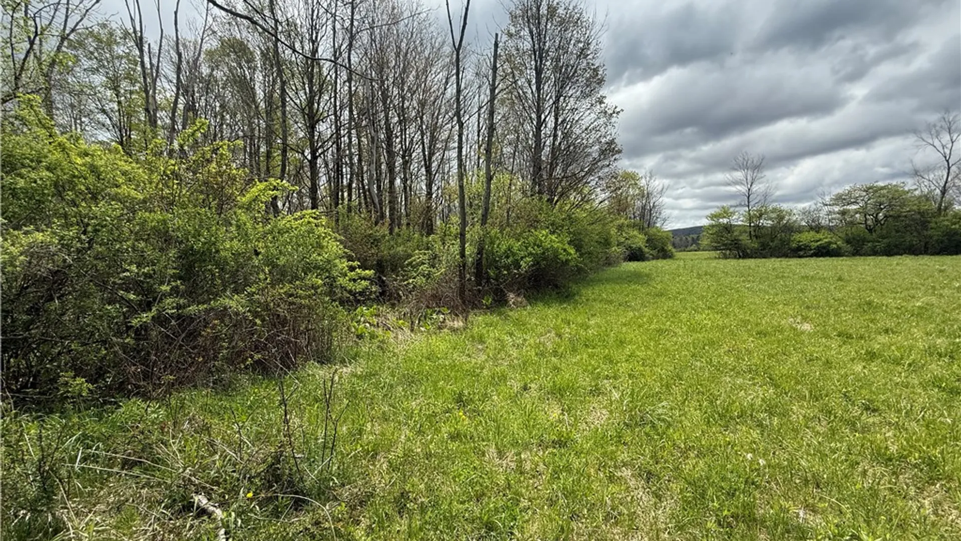 Property at Caswell Road, Dryden, NY 13068 36