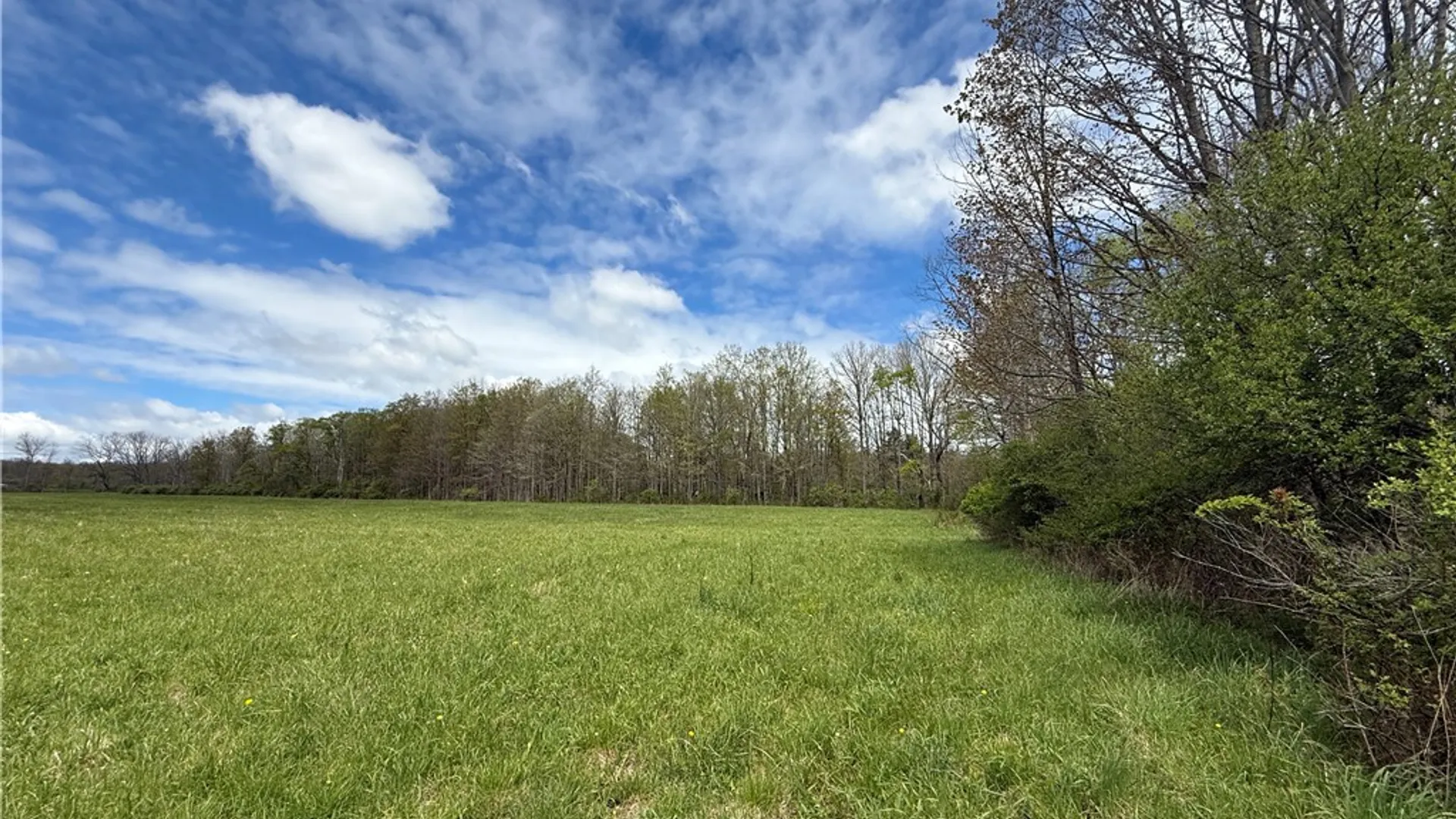 Property at Caswell Road, Dryden, NY 13068 37