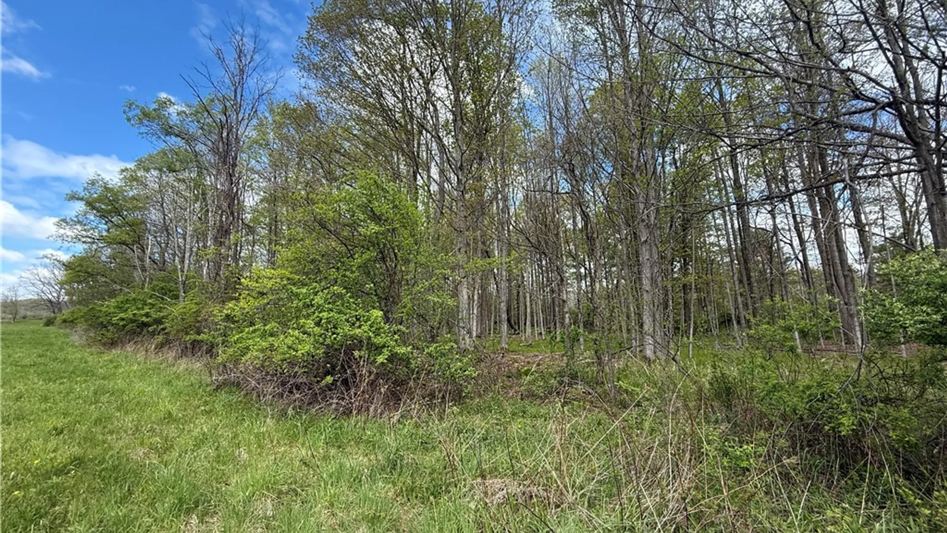 Property at Caswell Road, Dryden, NY 13068 39