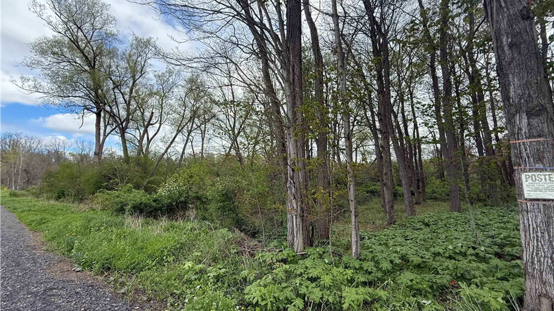 Property at Caswell Road, Dryden, NY 13068 43