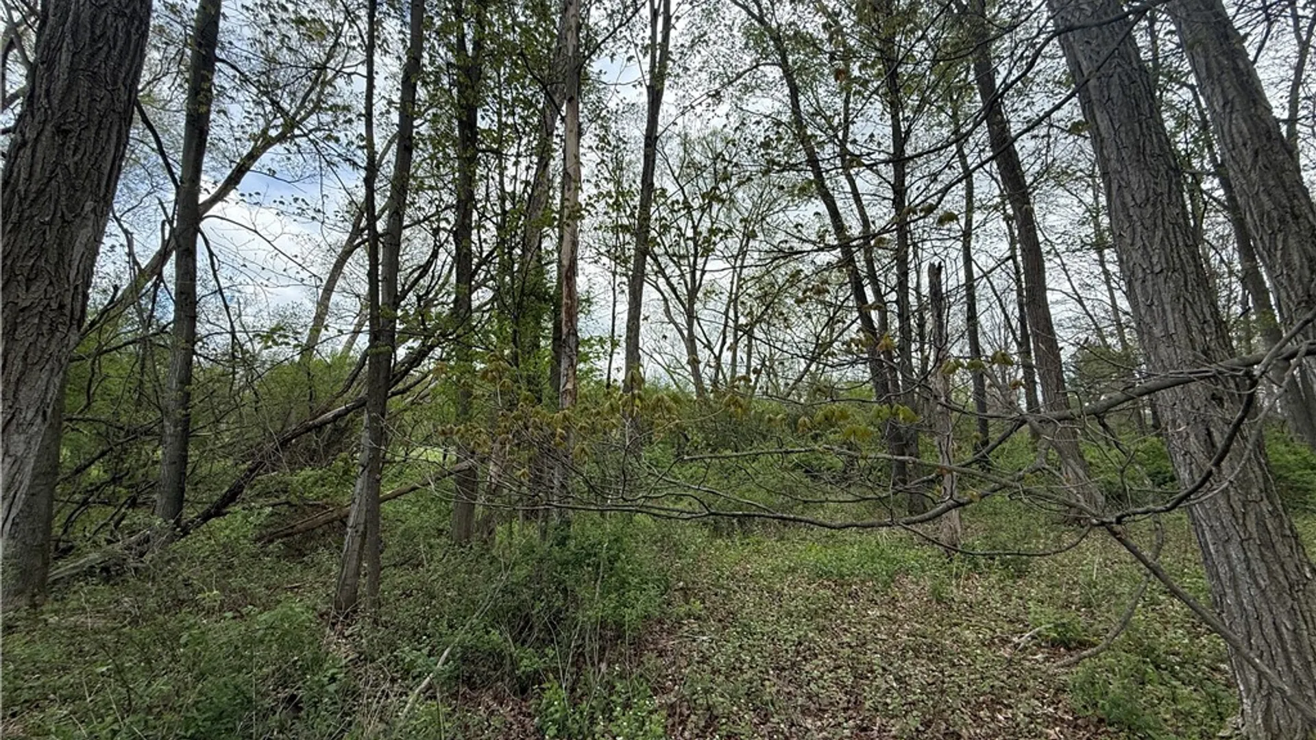 Property at Caswell Road, Dryden, NY 13068 44