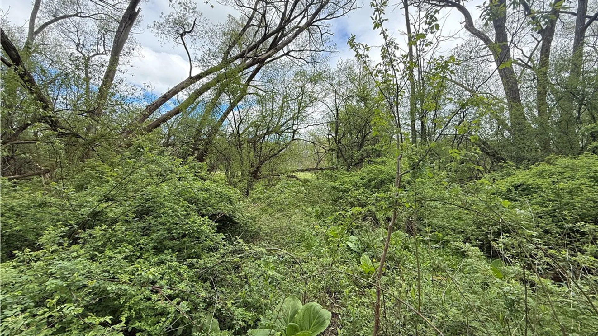 Property at Caswell Road, Dryden, NY 13068 45
