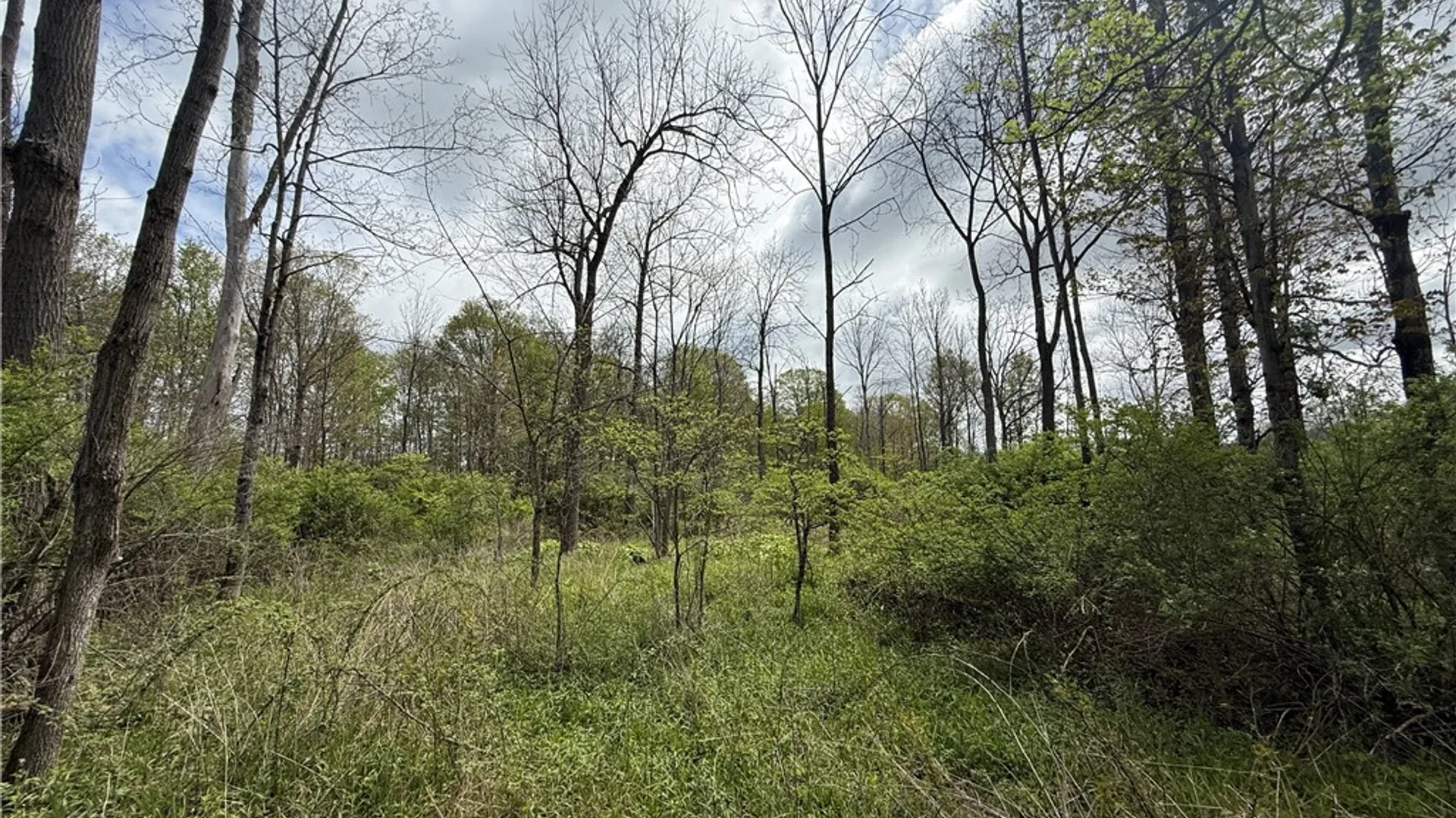 Property at Caswell Road, Dryden, NY 13068 5
