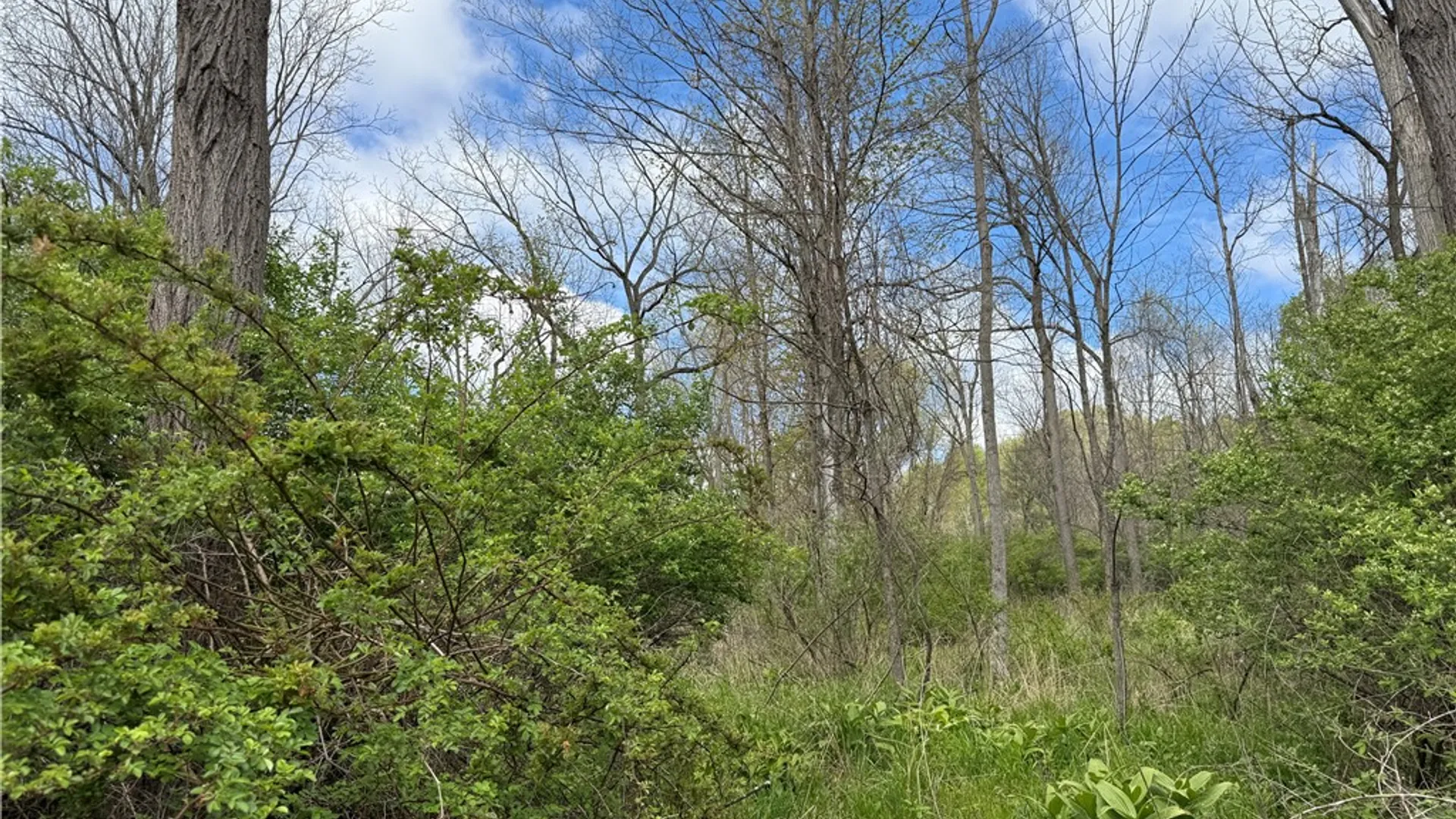 Property at Caswell Road, Dryden, NY 13068 7
