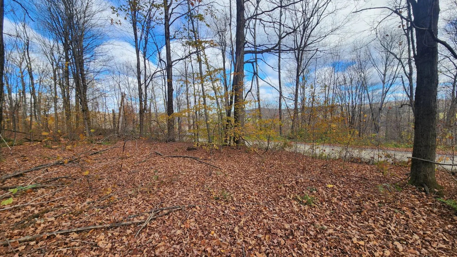 Property at 0 Reit Road, Smyrna, NY 13464 2