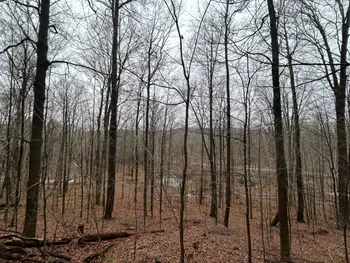 Property at L212 Kelly Hill Rd, Pine City, NY 14871