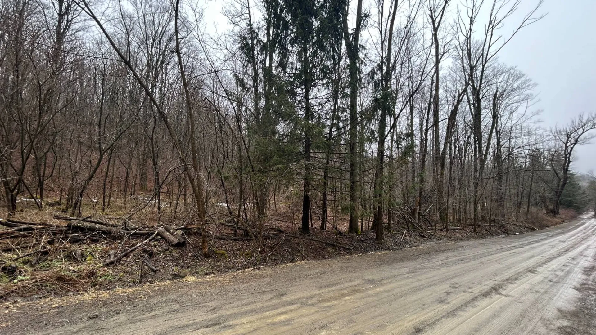 Property at L212 Kelly Hill Rd, Pine City, NY 14871 4