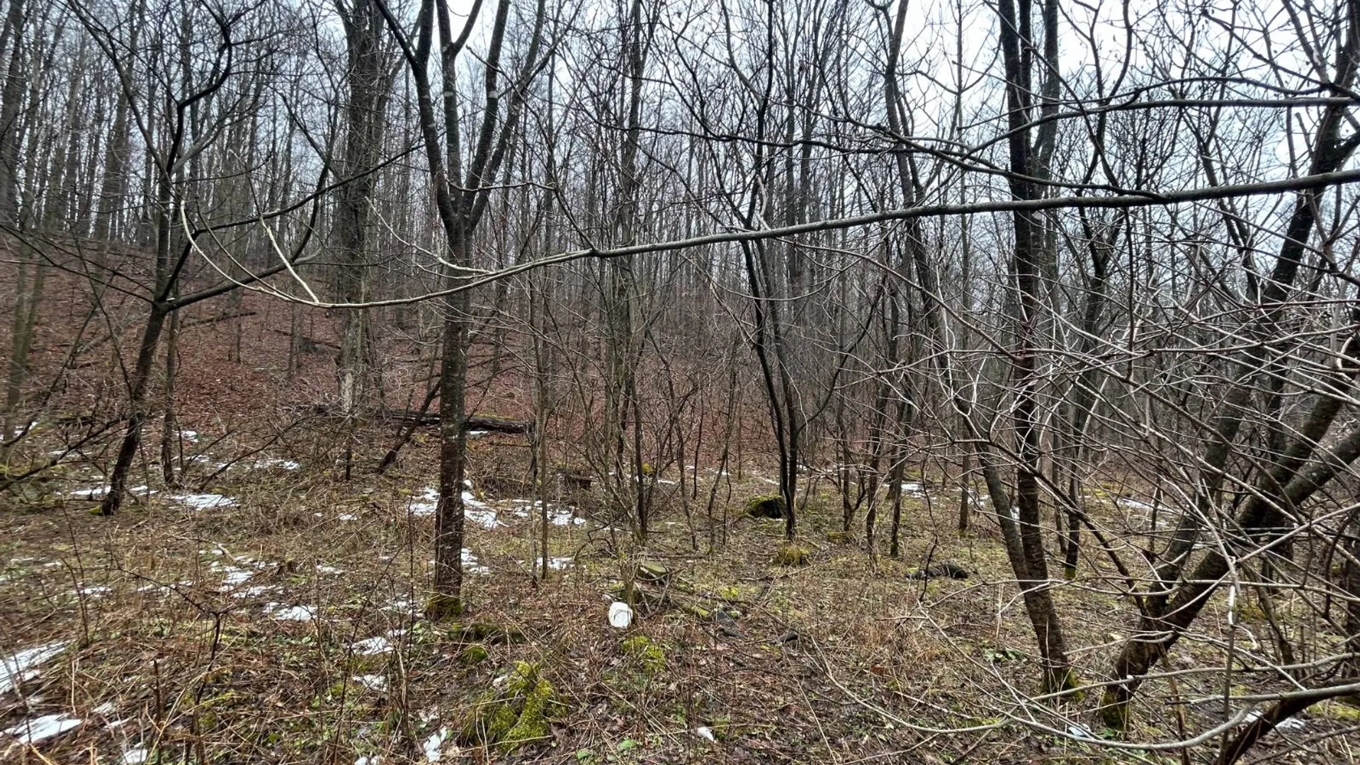 Property at L212 Kelly Hill Rd, Pine City, NY 14871 5