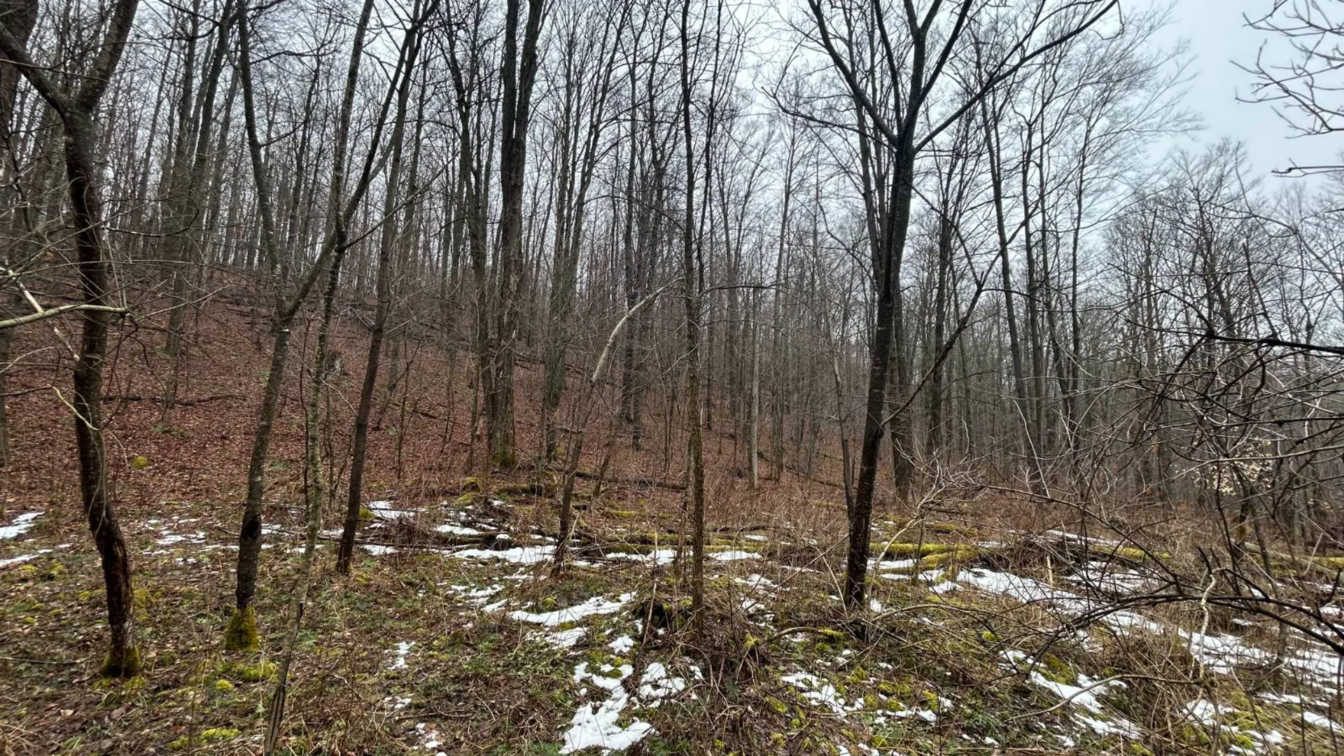 Property at L212 Kelly Hill Rd, Pine City, NY 14871 6