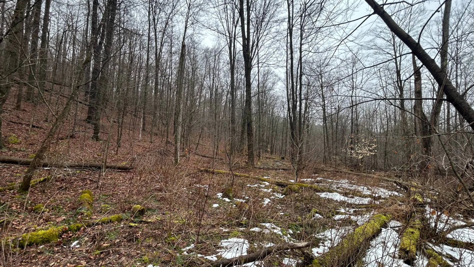 Property at L212 Kelly Hill Rd, Pine City, NY 14871 7