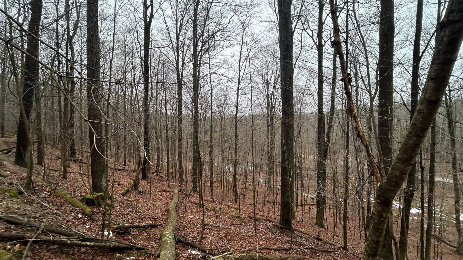Property at L212 Kelly Hill Rd, Pine City, NY 14871 8