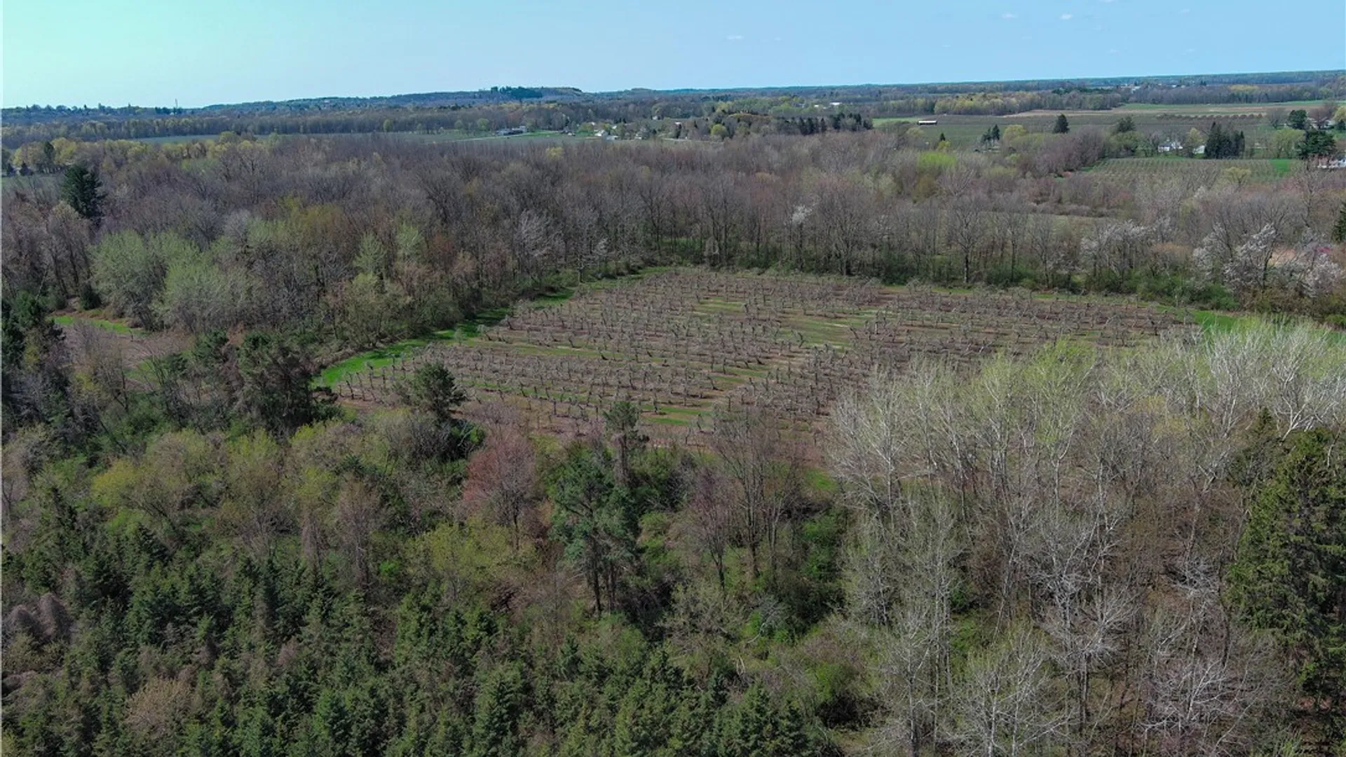 Property at 7310 Lake Road, Sodus, NY 14551 44